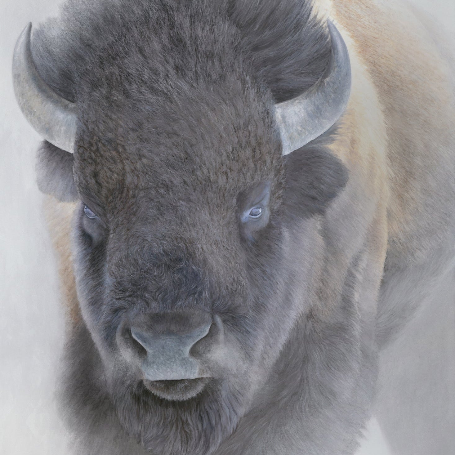 Big Bison