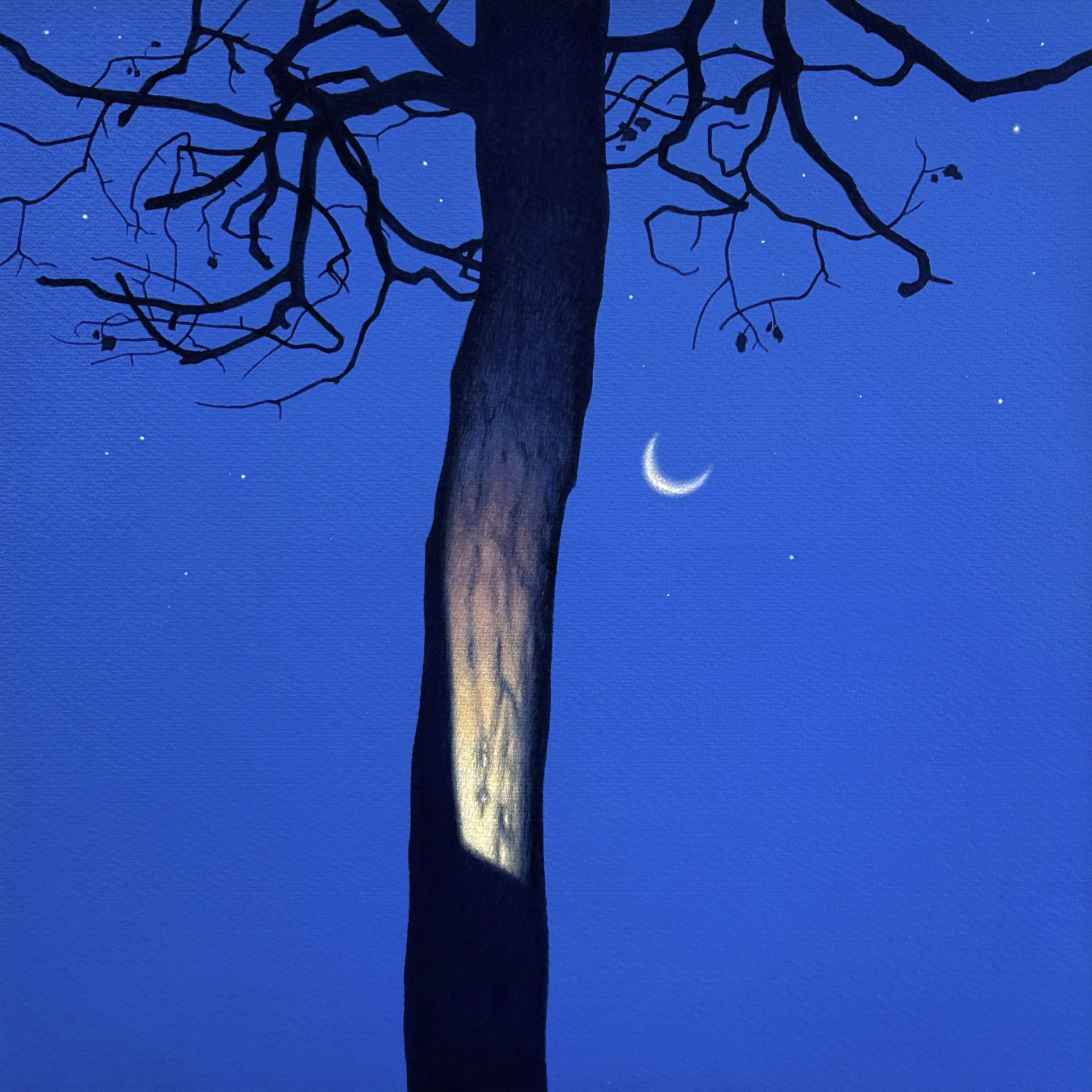 "Illuminated Dresden Tree with Crescent Moon"