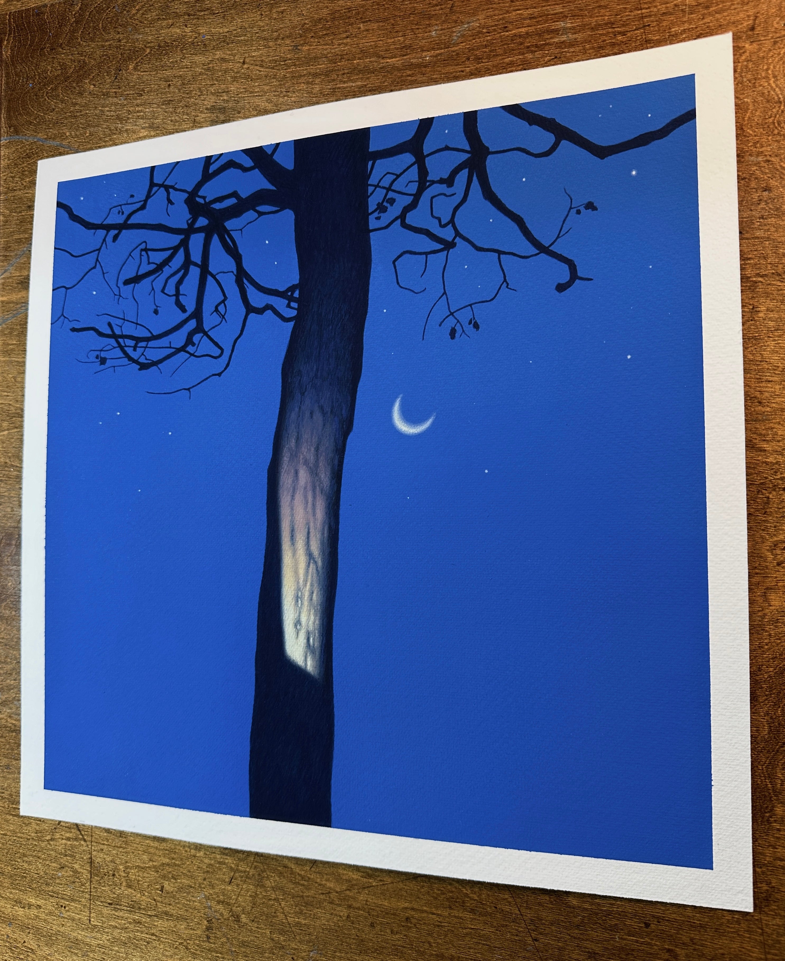 "Illuminated Dresden Tree with Crescent Moon"