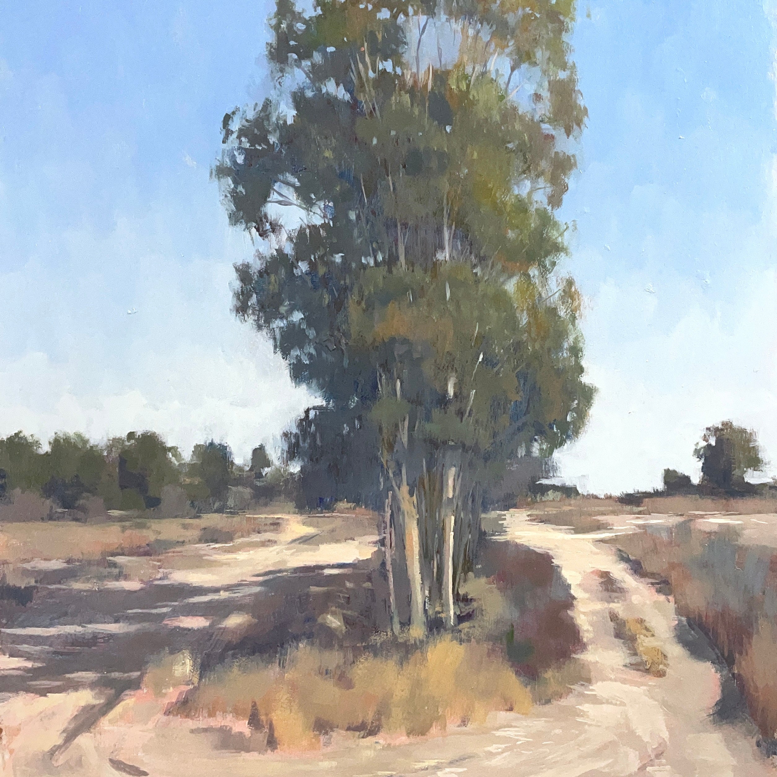 "Buttonwillow Road"