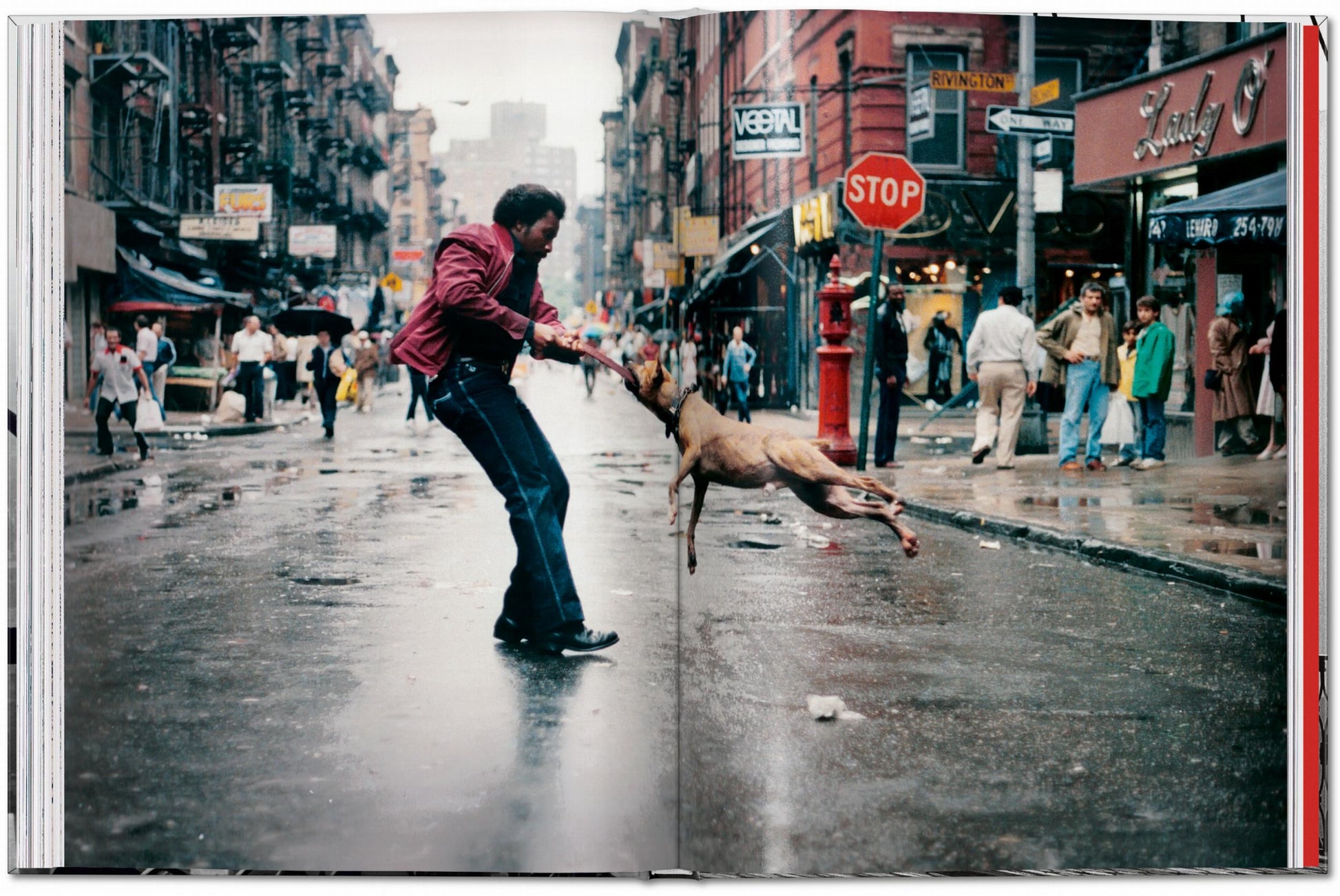 New York. Portrait of a City (English)