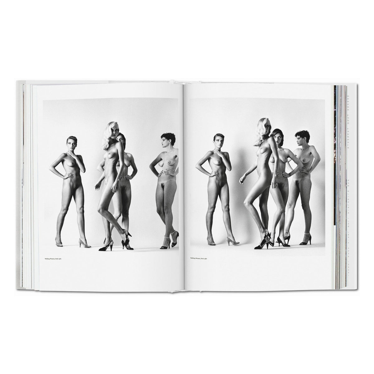 Helmut Newton. SUMO (German, French, English)