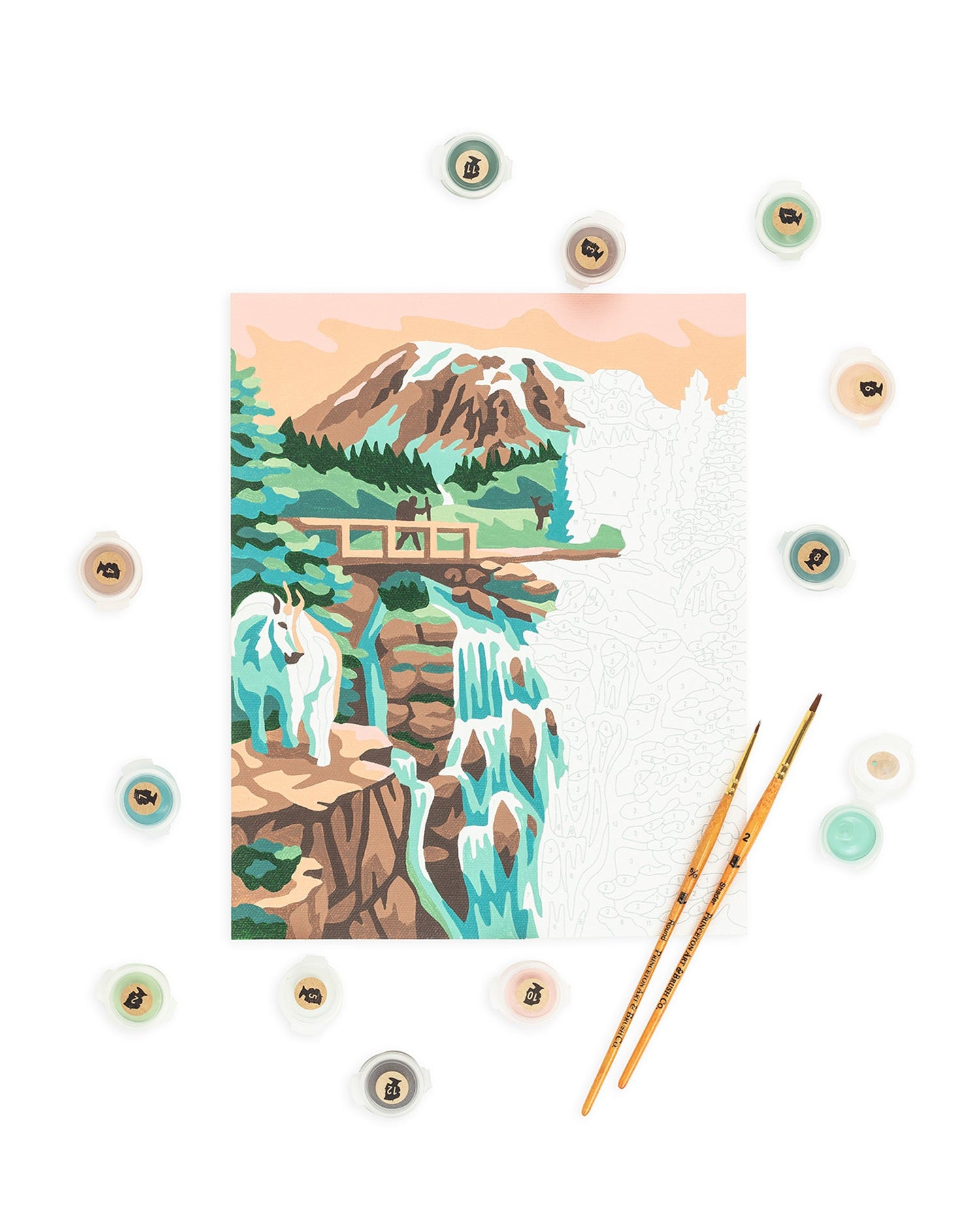 Mount Rainier National Park | 8x10 paint-by-number kit