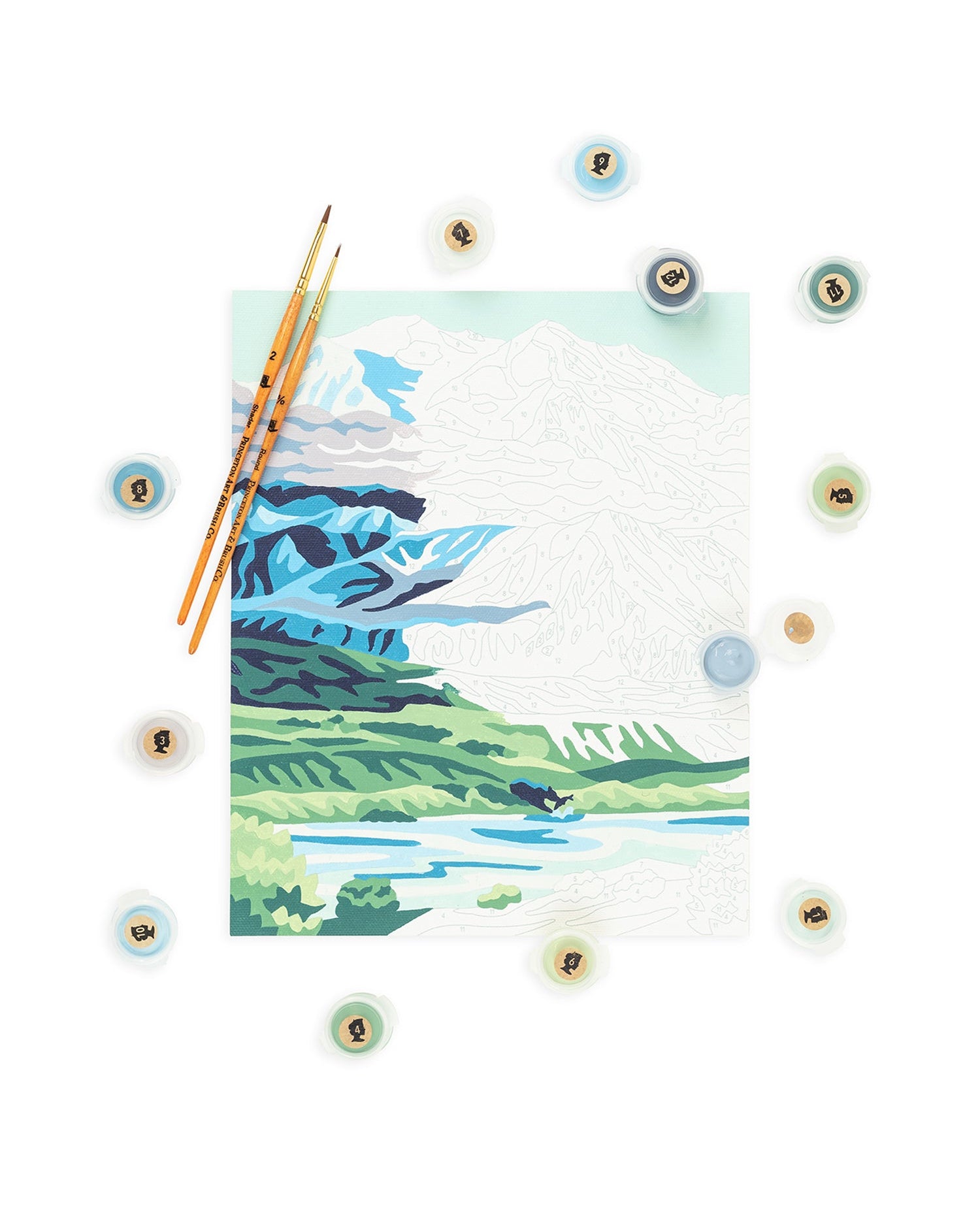 Denali National Park | 8x10 paint-by-number kit