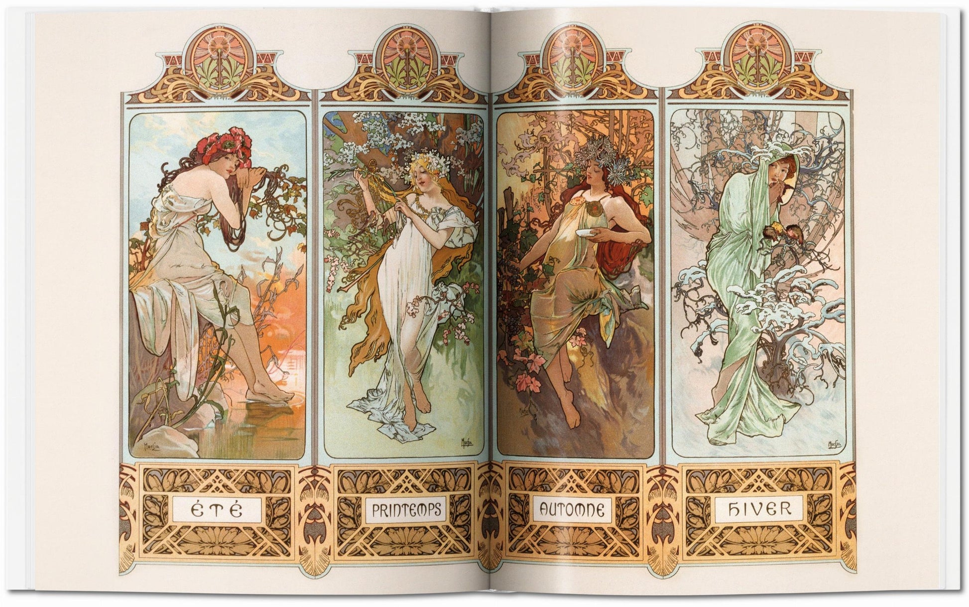 Mucha (English)