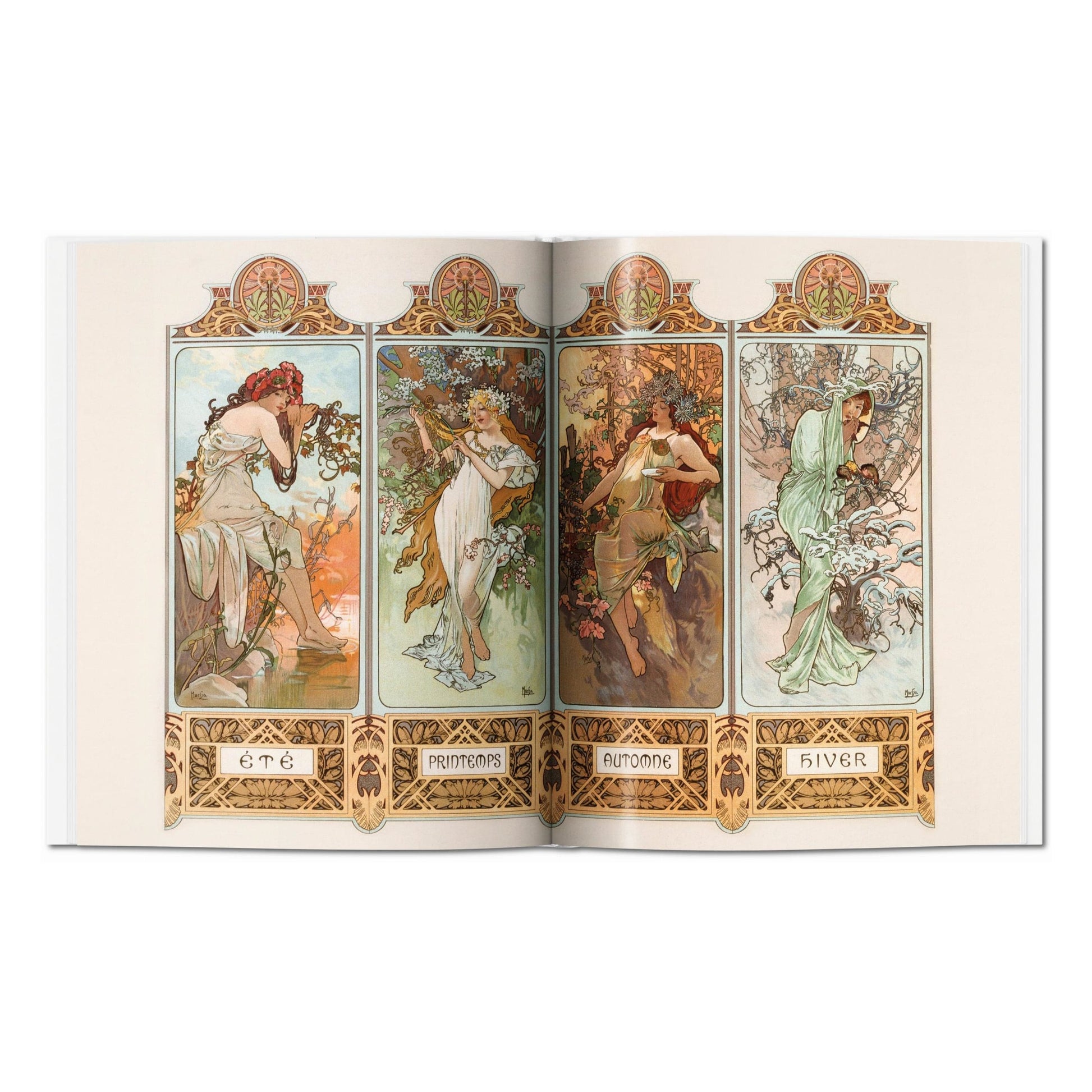 Mucha (English)