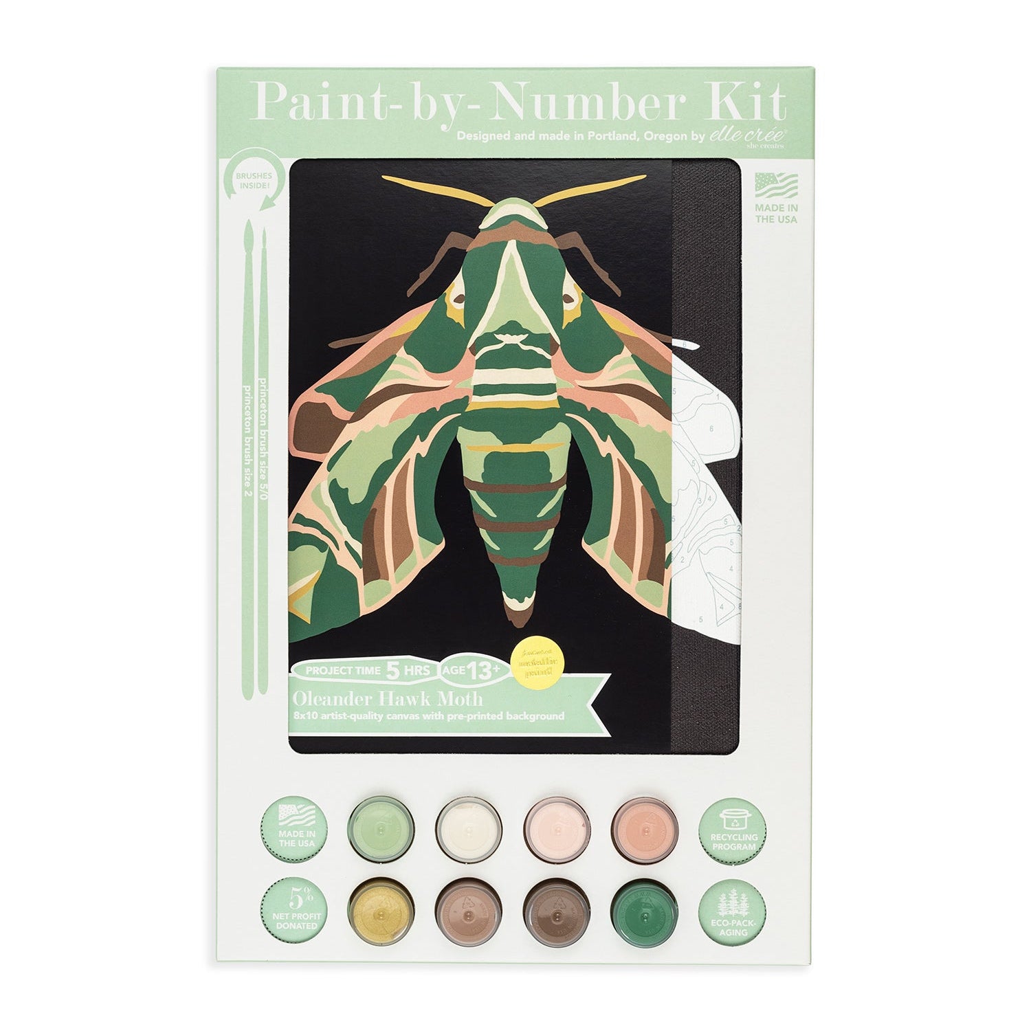 Oleander Hawk Moth | 8x10 paint-by-number kit
