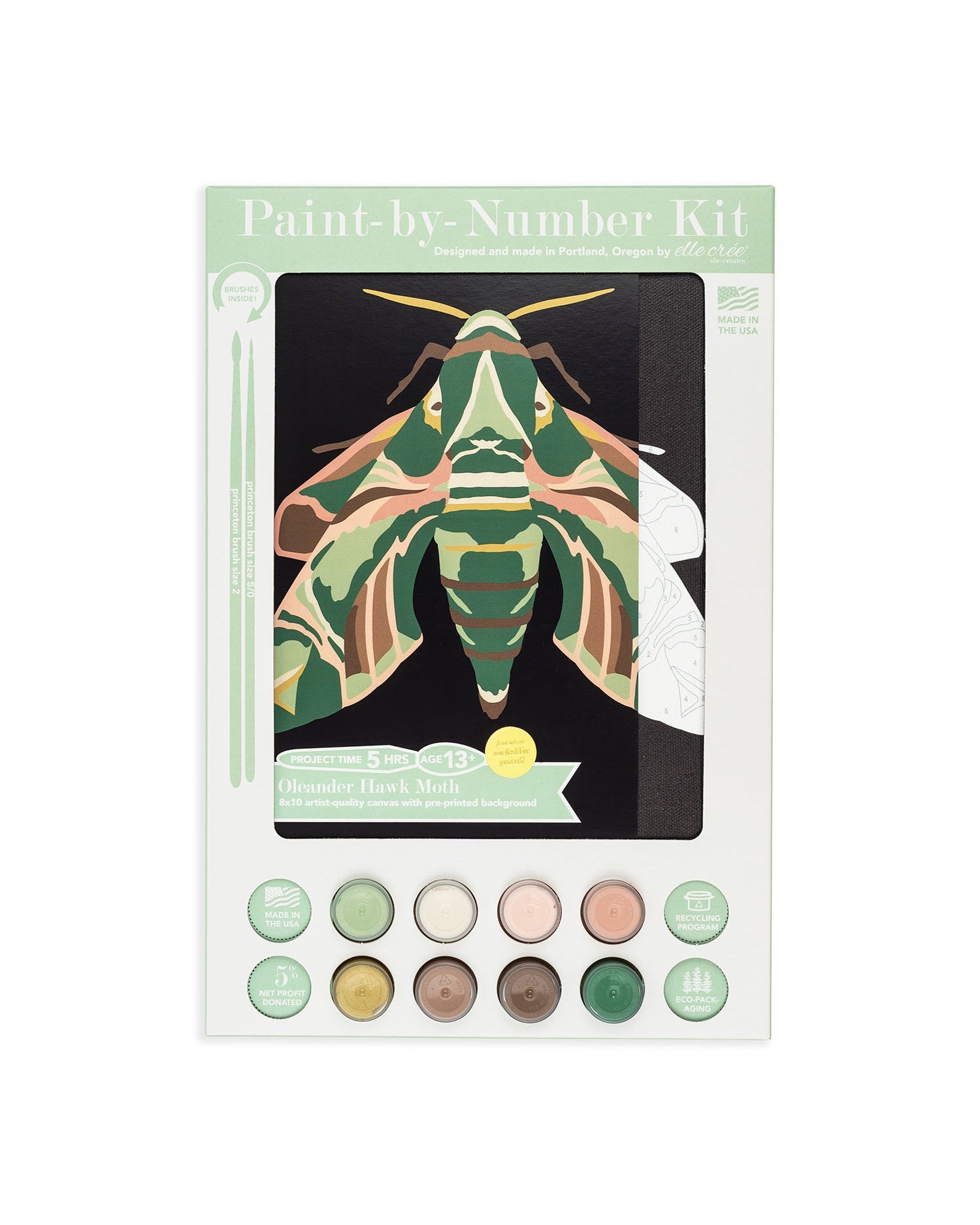 Oleander Hawk Moth | 8x10 paint-by-number kit