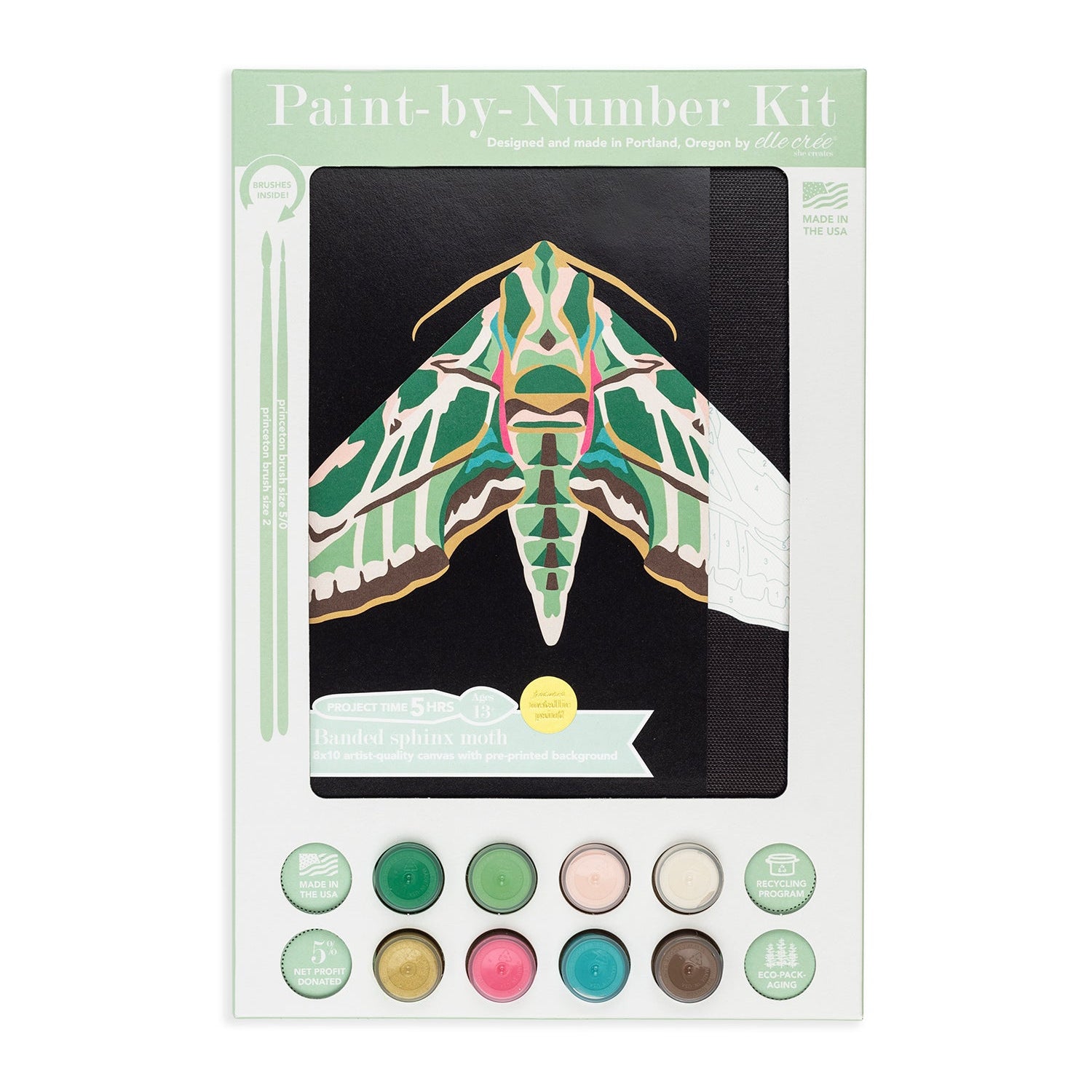 Banded Sphinx Moth | 8x10 paint-by-number kit