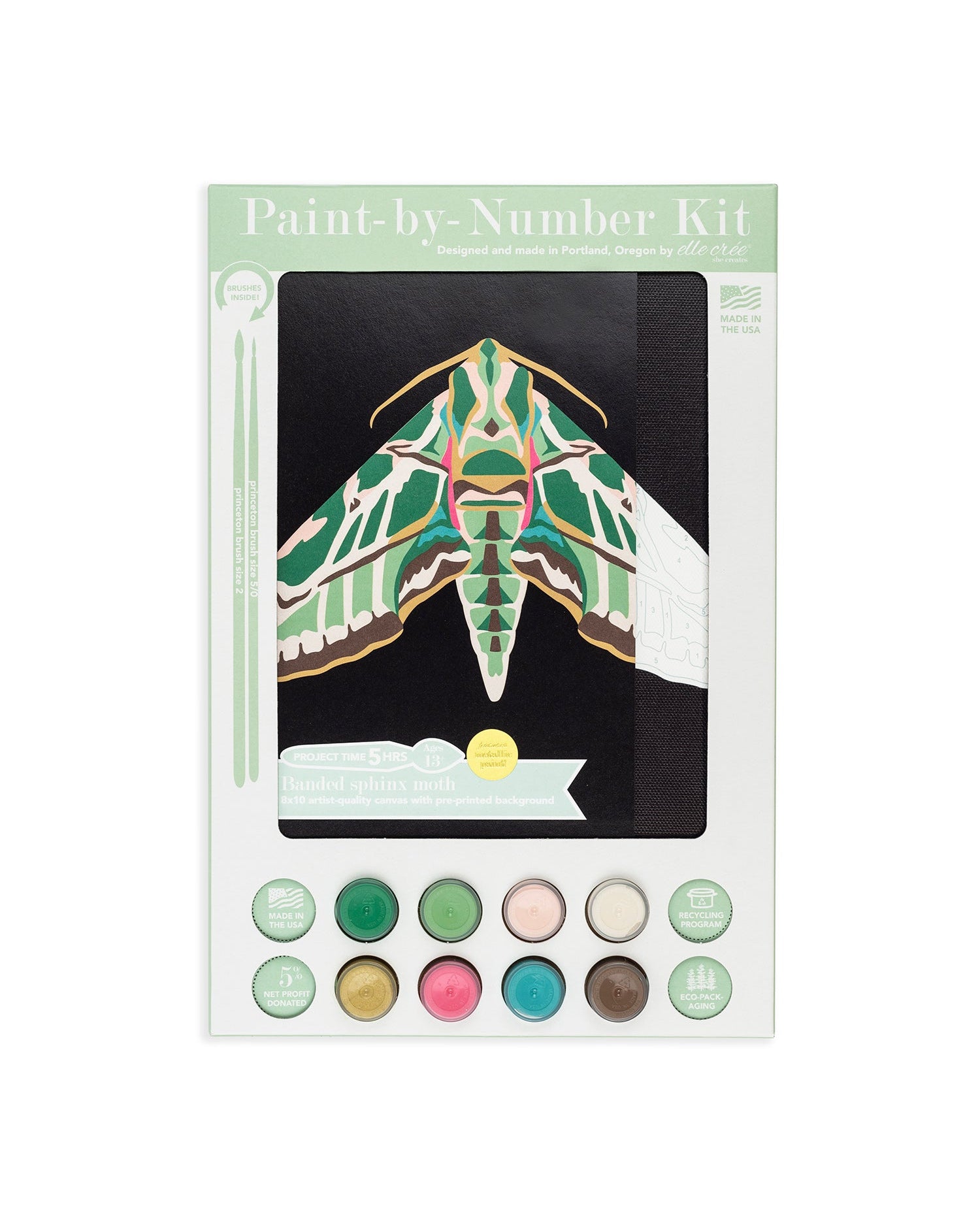 Banded Sphinx Moth | 8x10 paint-by-number kit