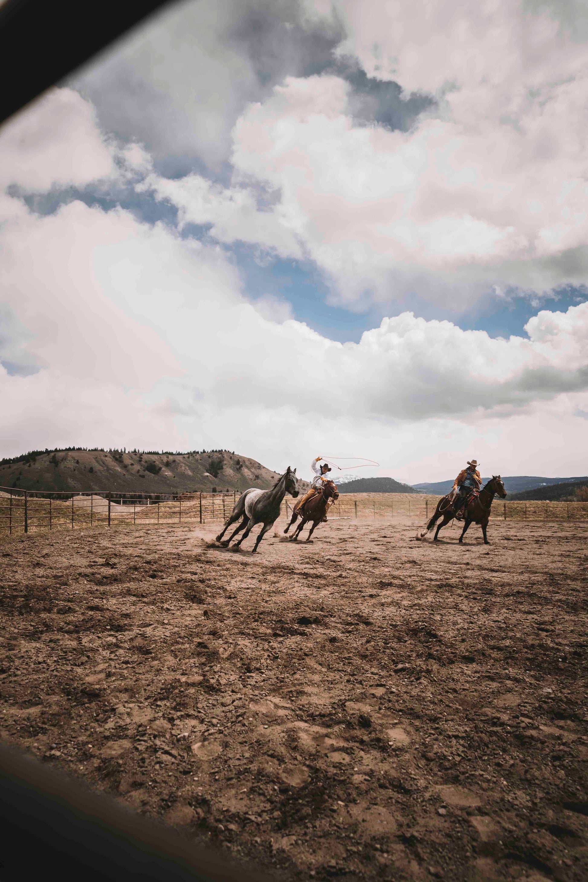 Cowboy Days