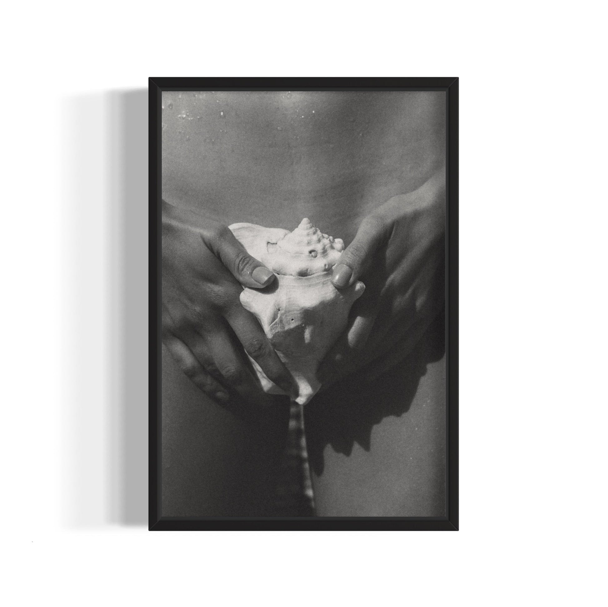The Shell