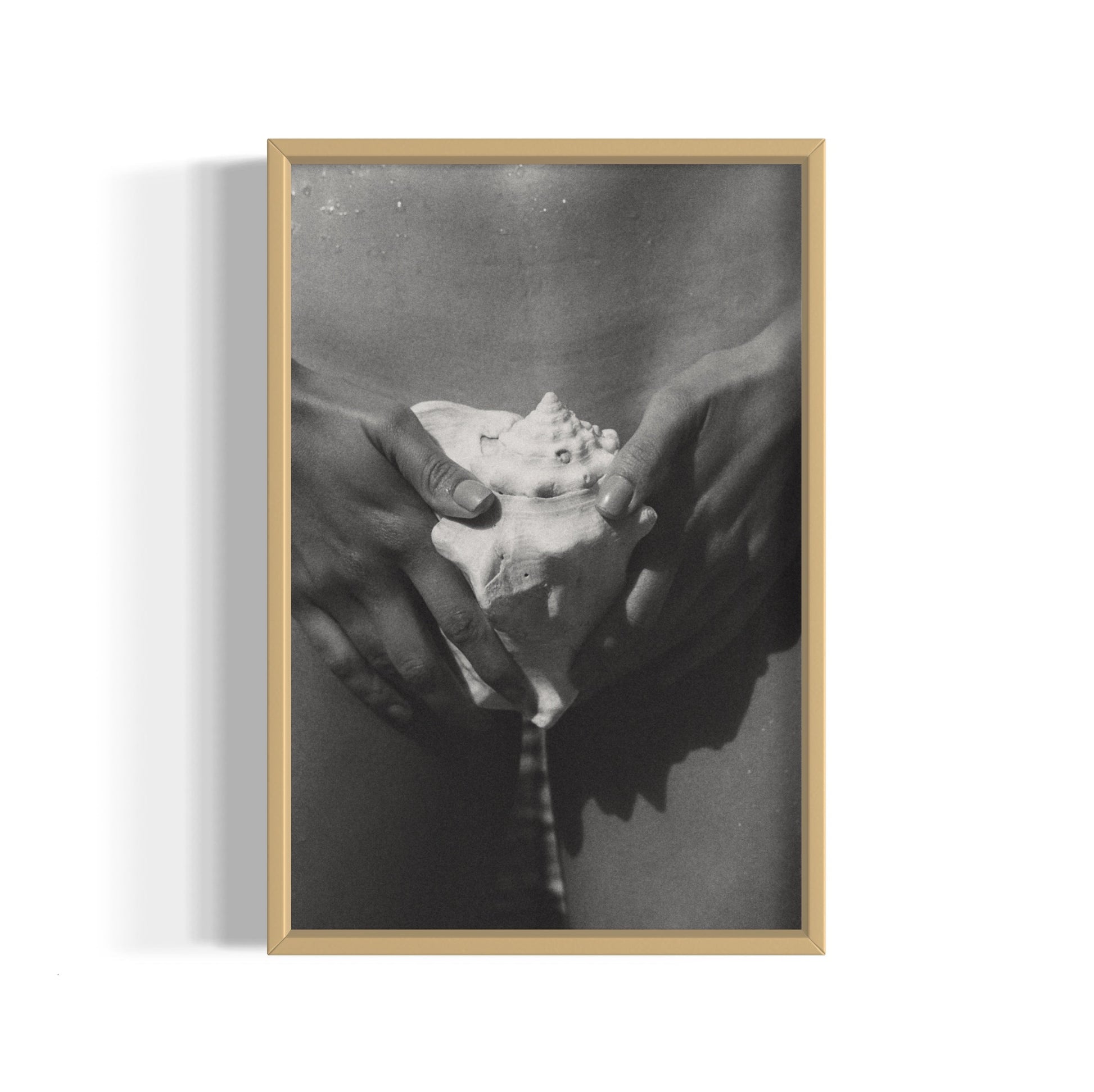The Shell