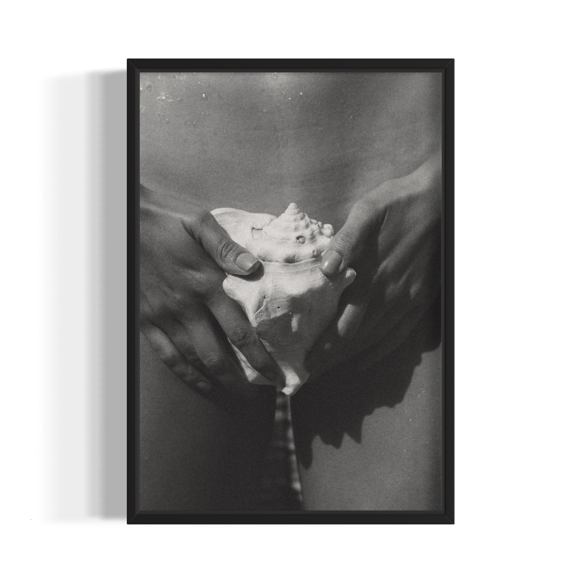 The Shell