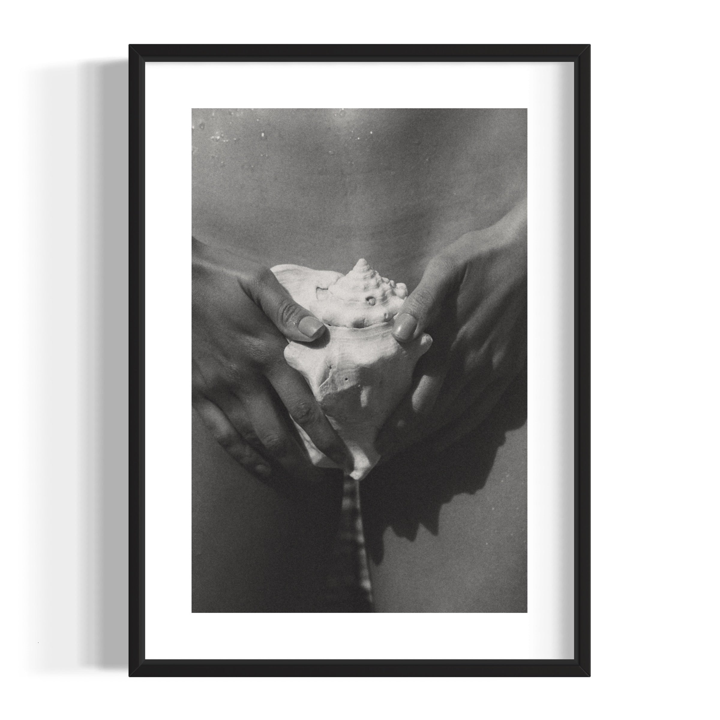 The Shell