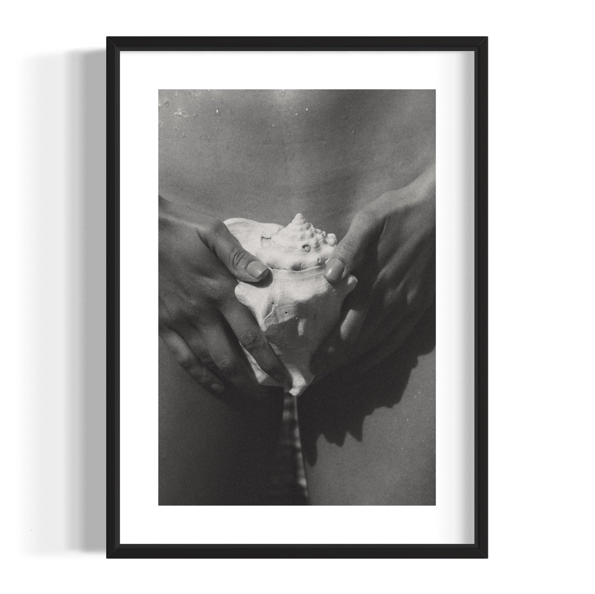 The Shell
