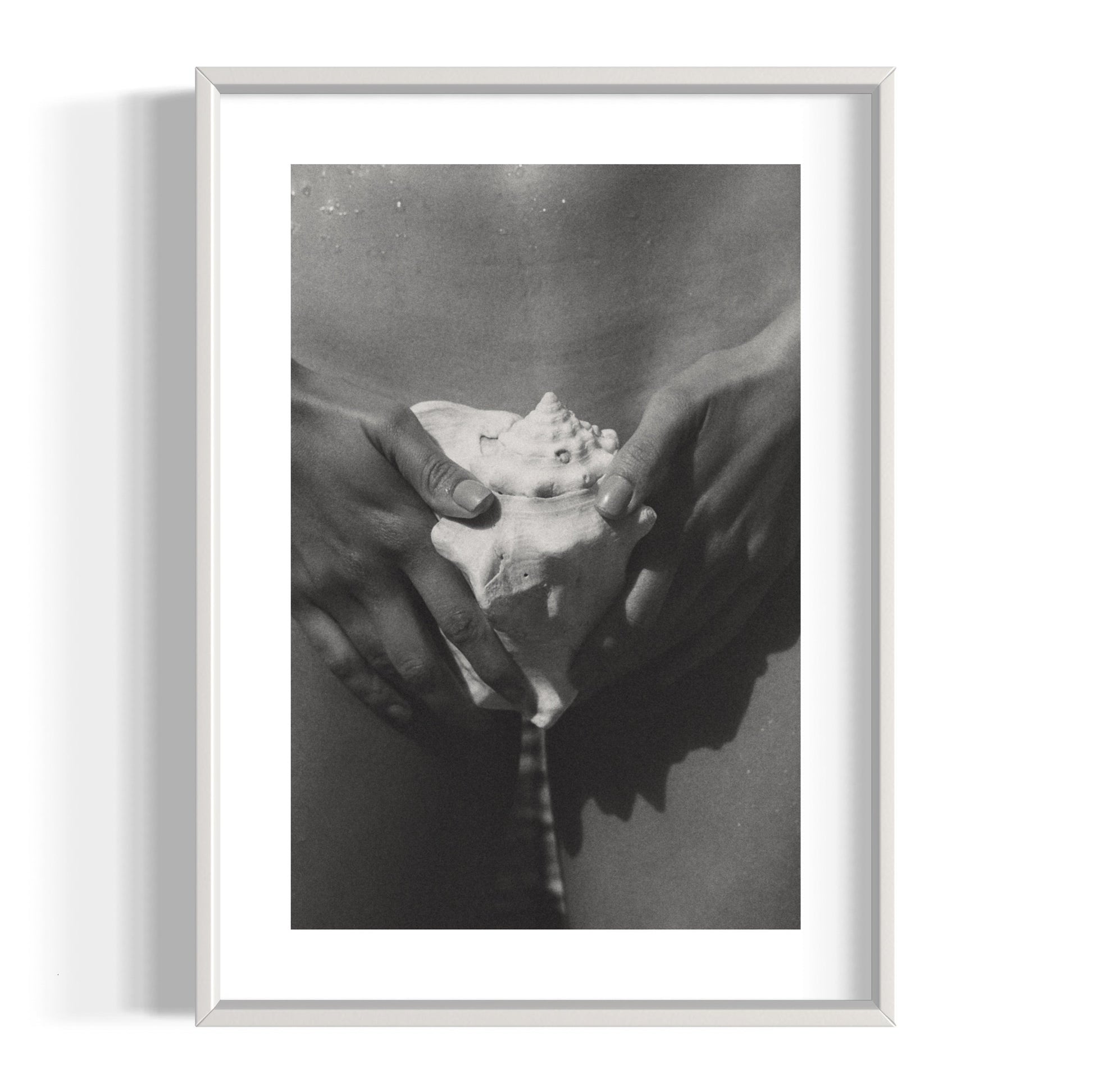 The Shell