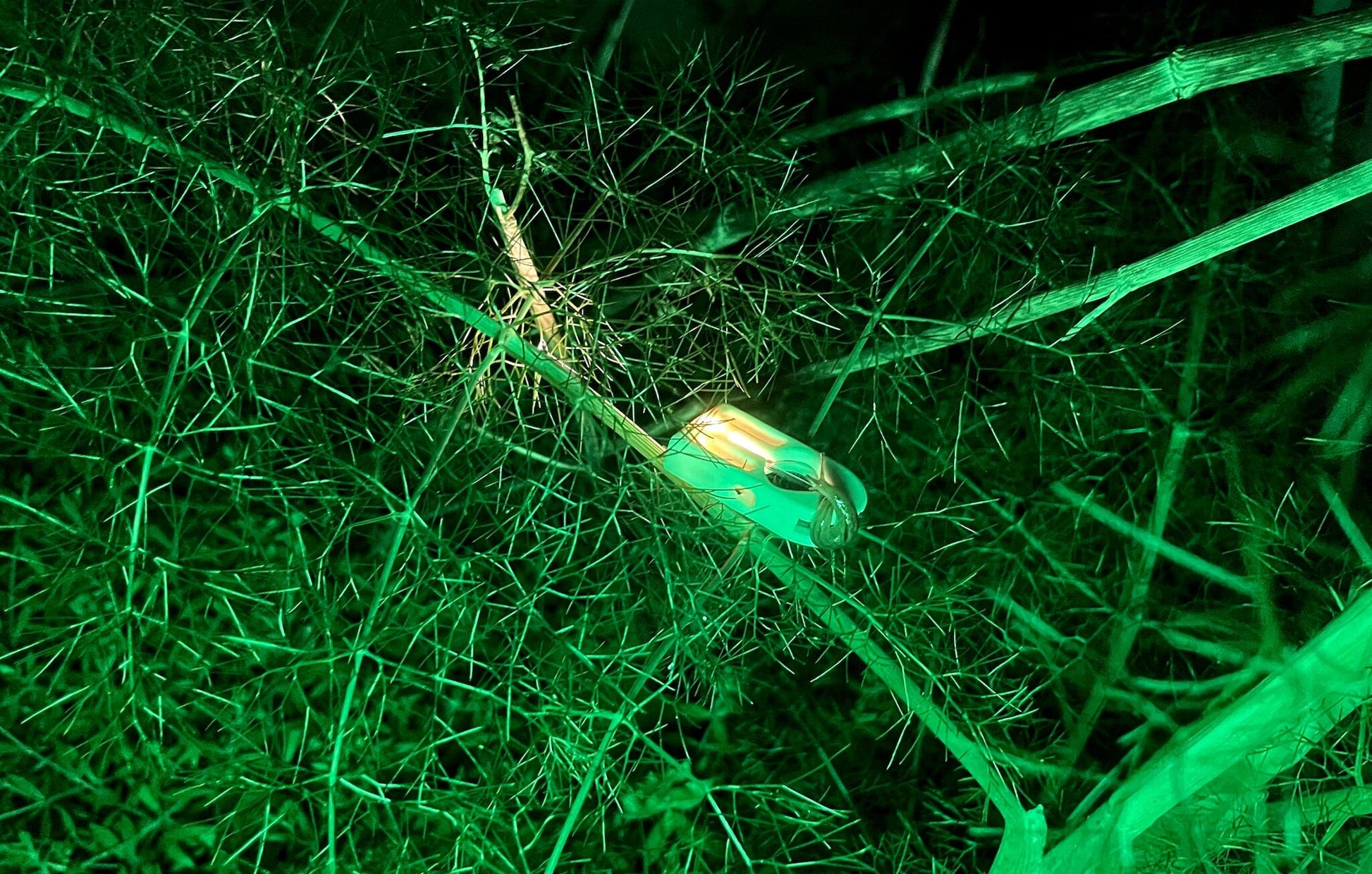 1P Flashlight