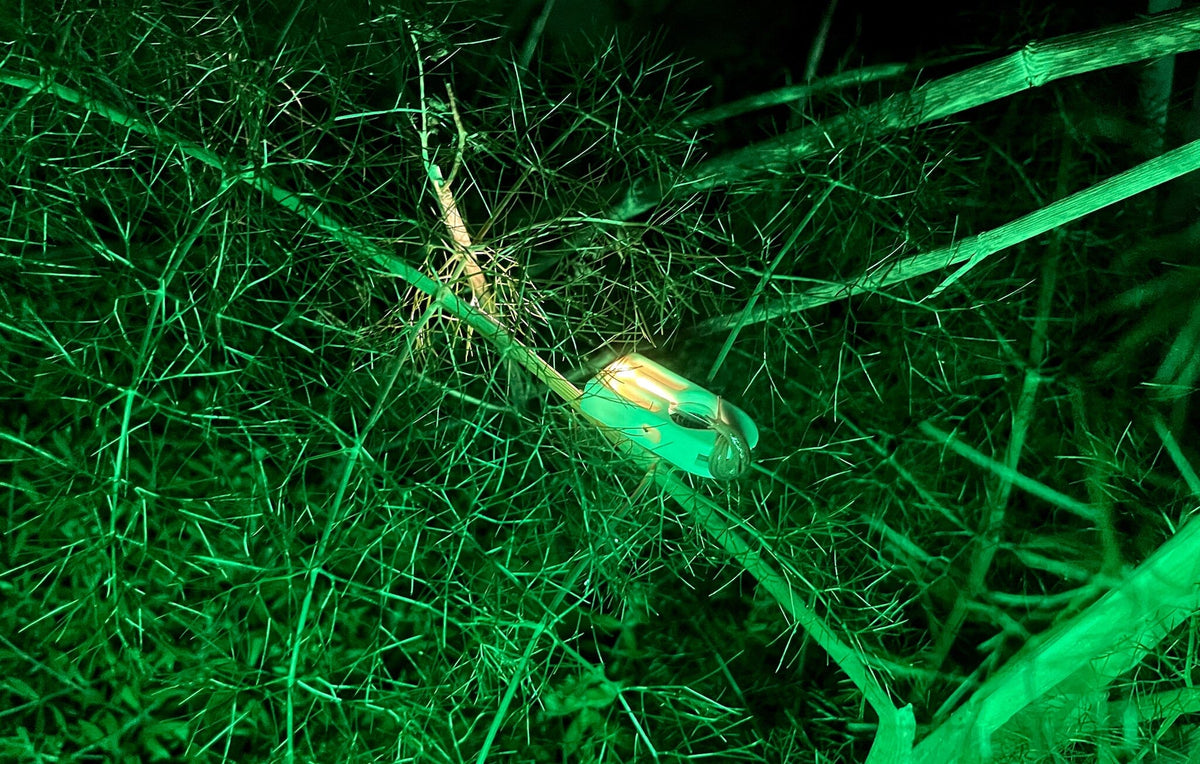 1P Flashlight