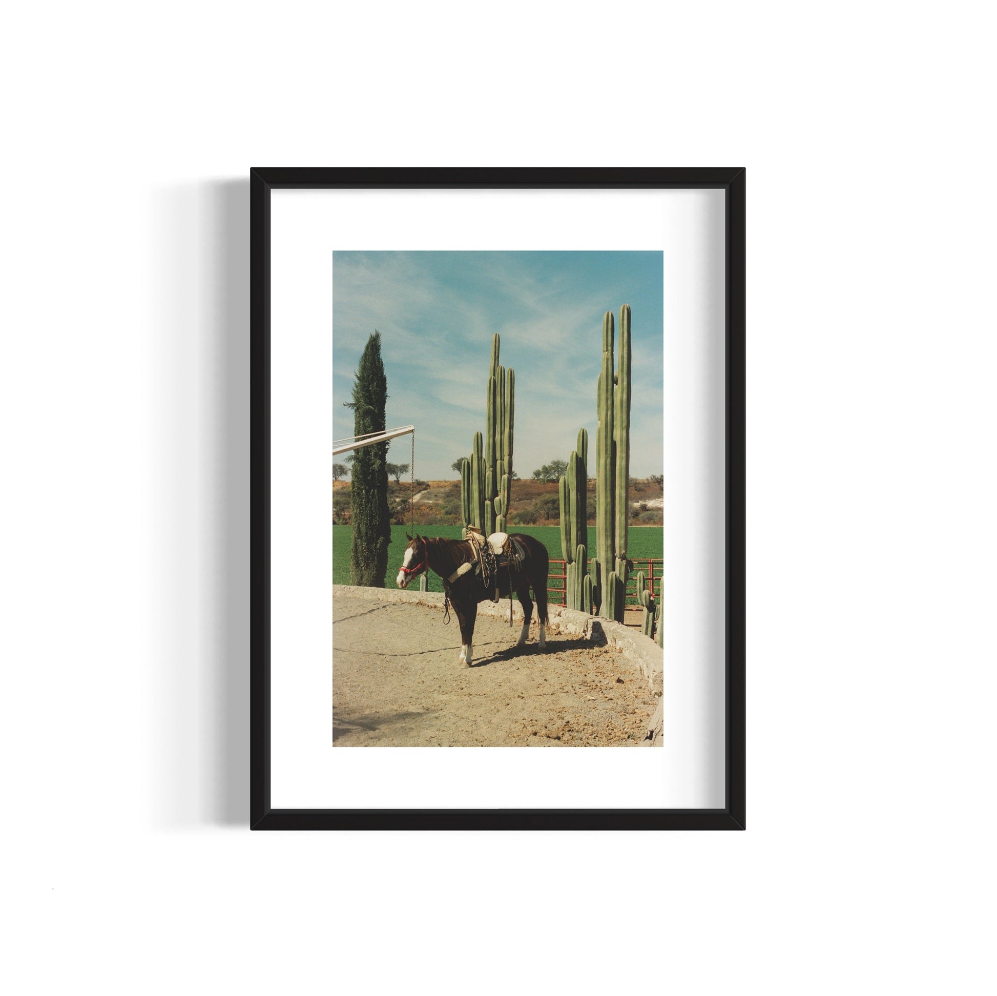 Rancho El Soyate