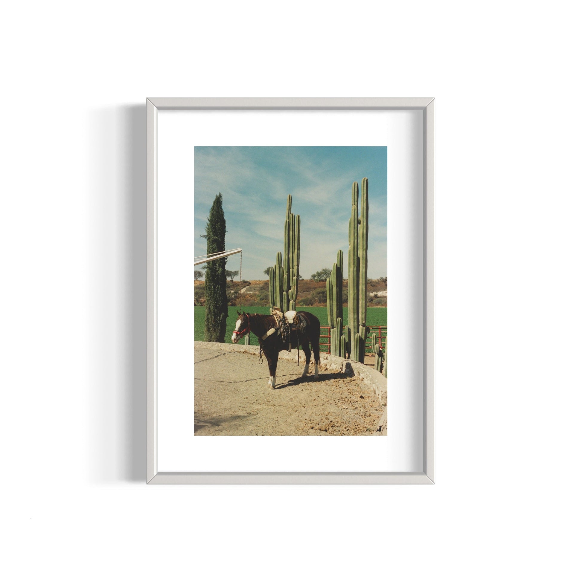 Rancho El Soyate