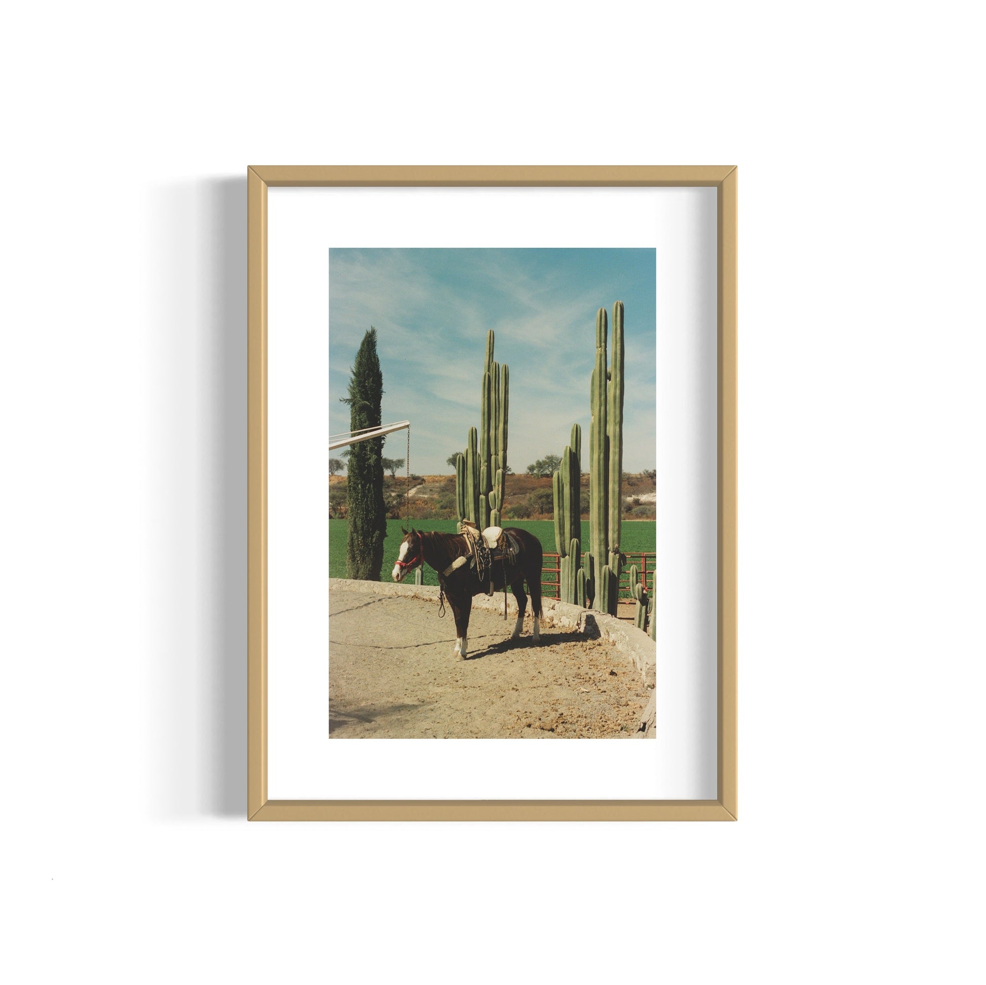 Rancho El Soyate
