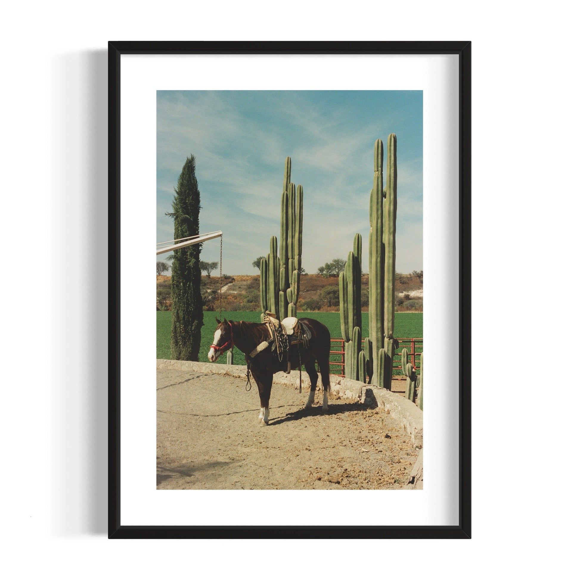 Rancho El Soyate