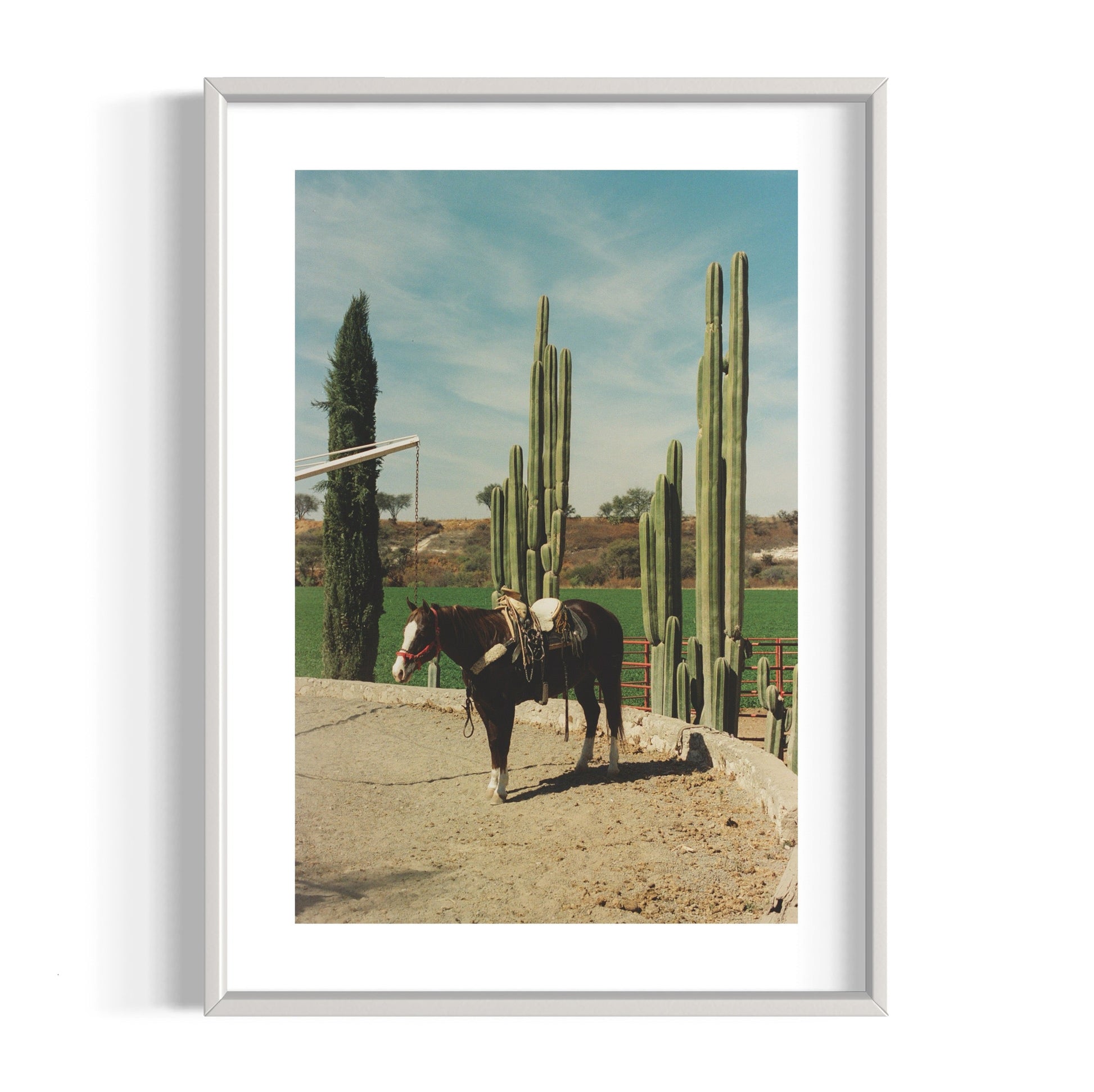 Rancho El Soyate