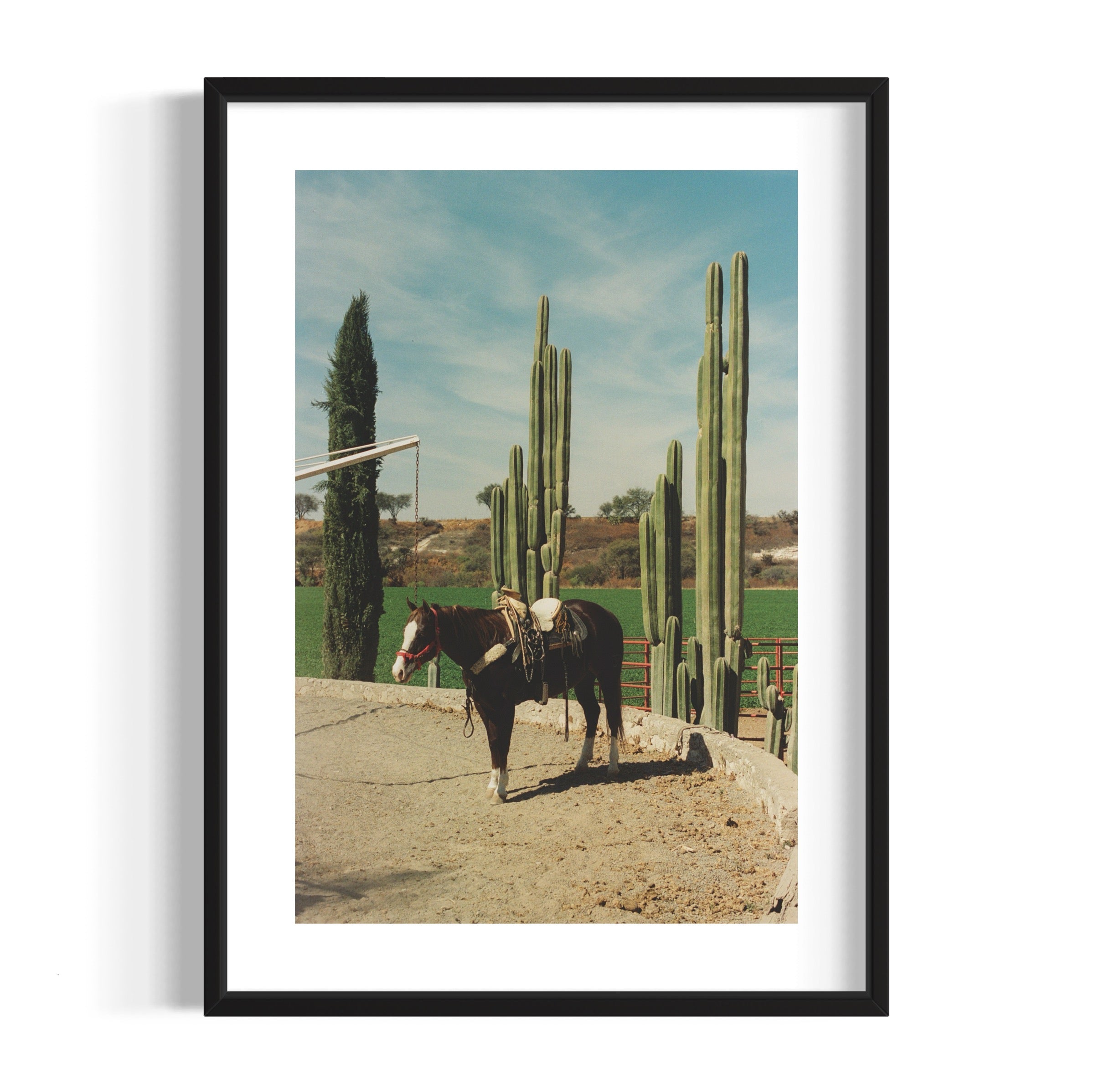 Rancho El Soyate