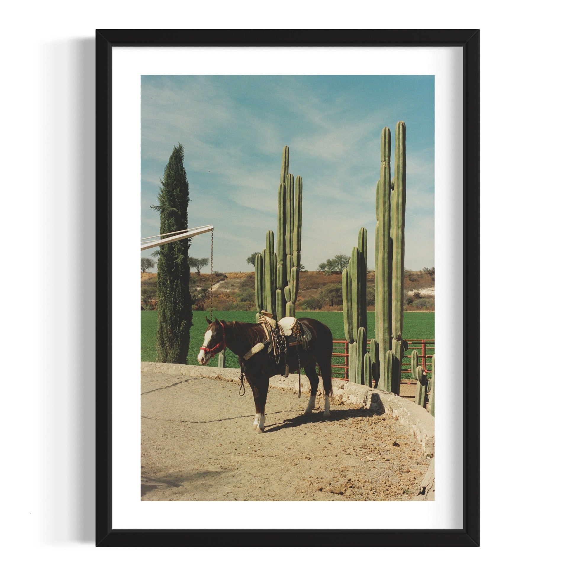 Rancho El Soyate