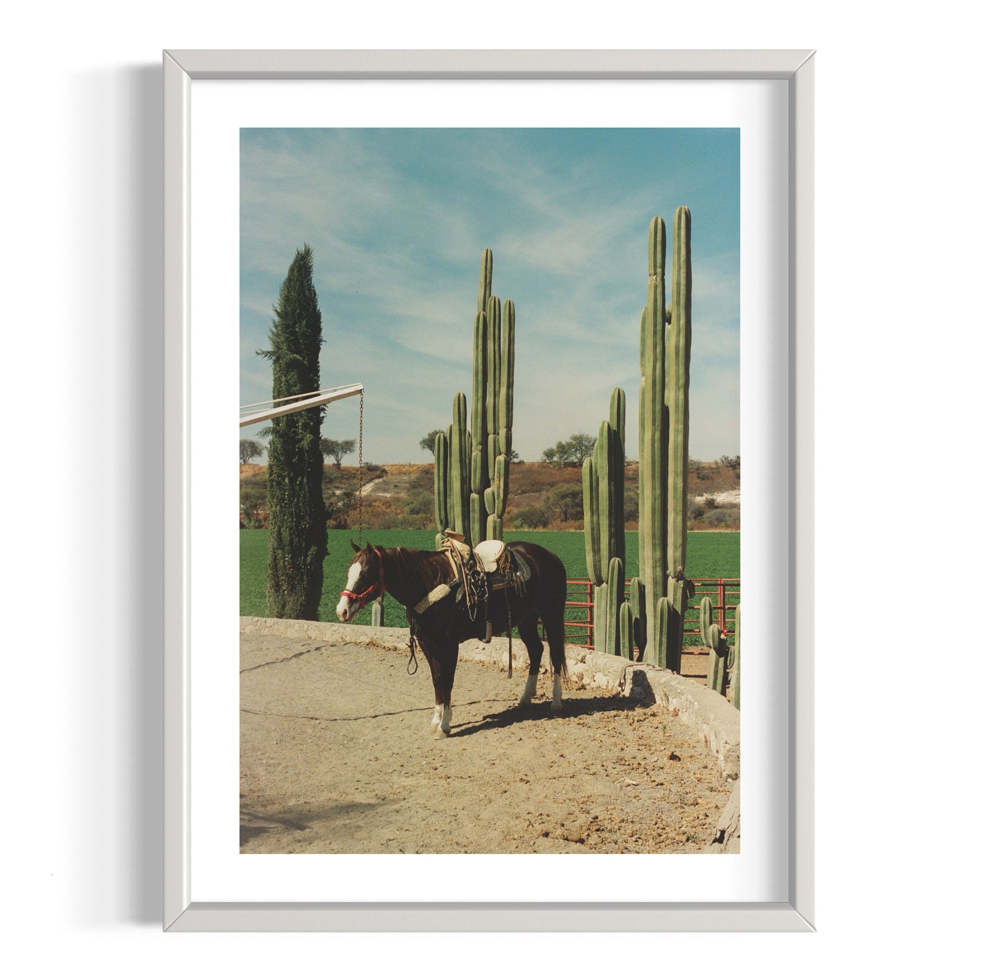 Rancho El Soyate