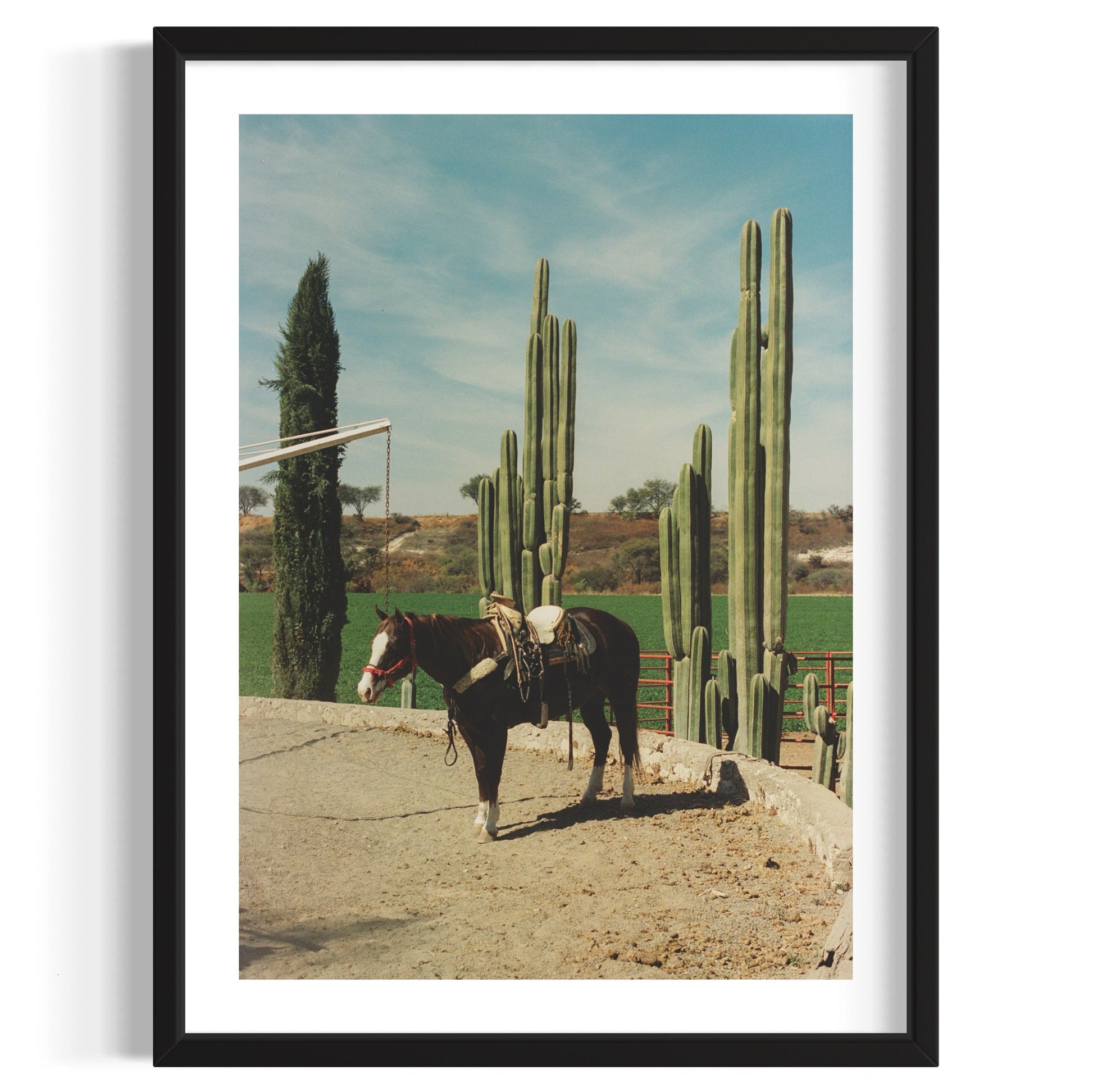 Rancho El Soyate