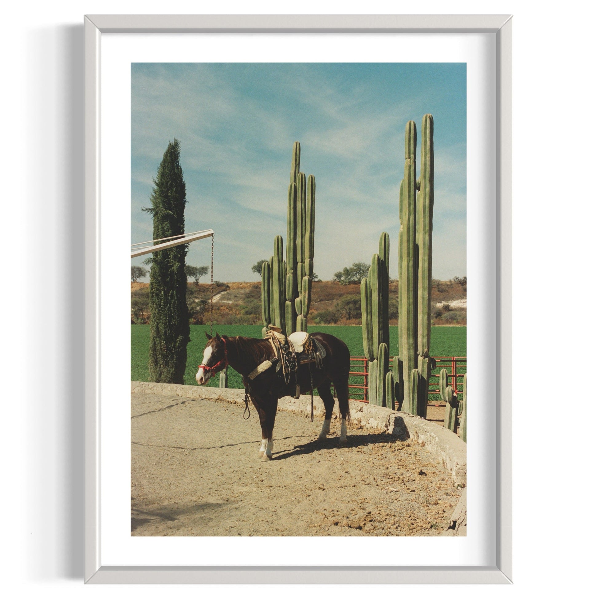 Rancho El Soyate