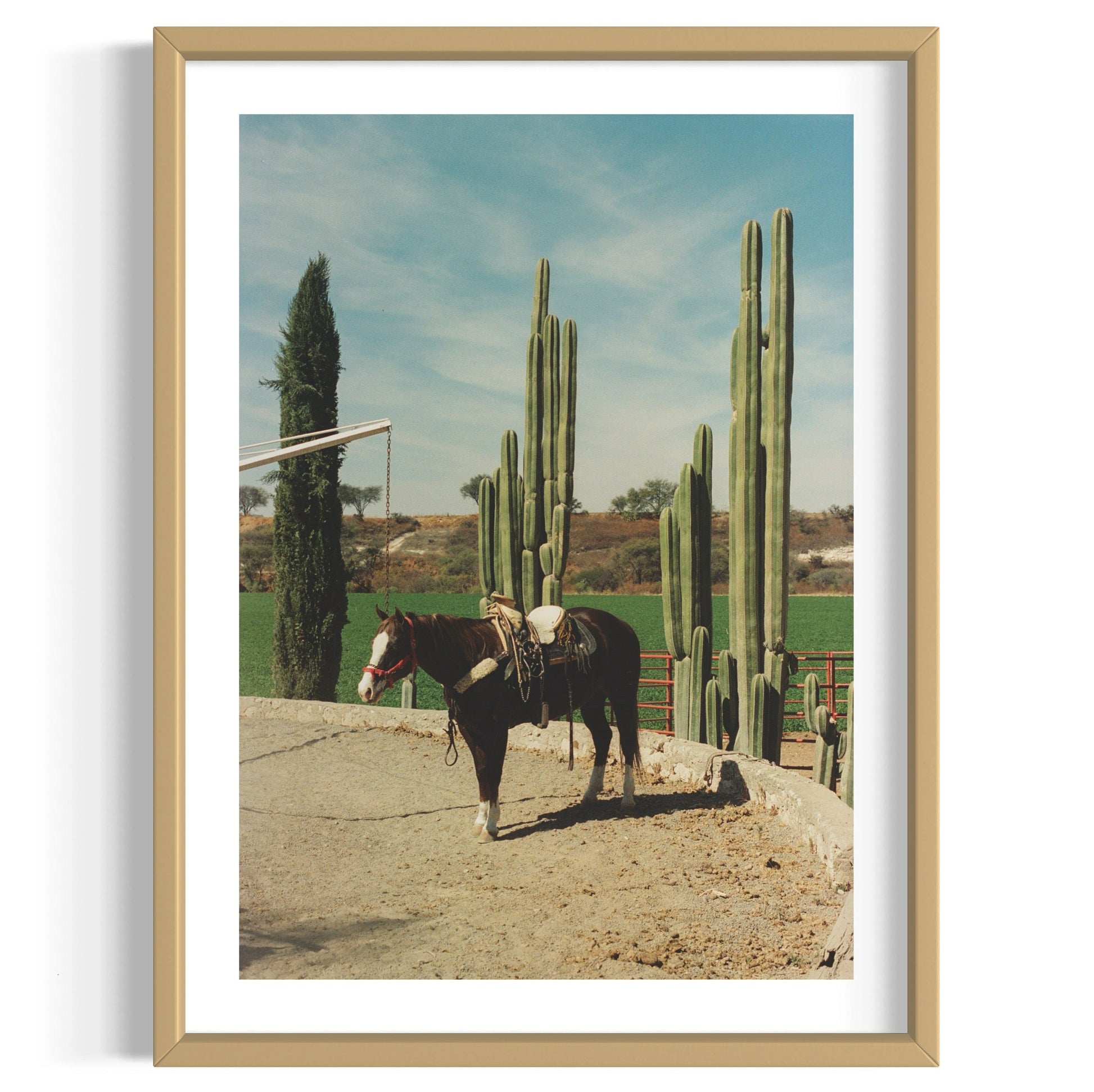 Rancho El Soyate
