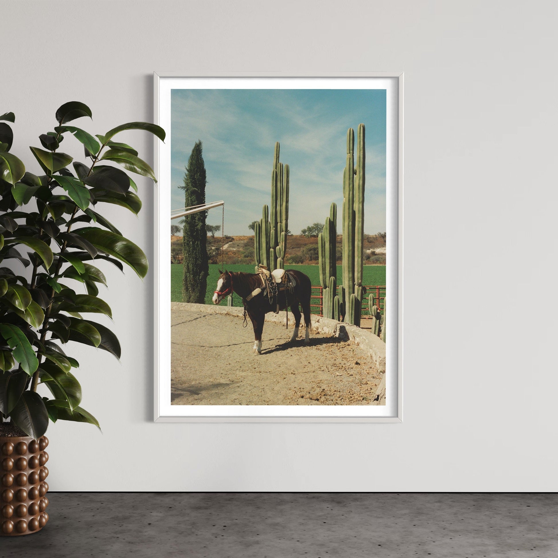 Rancho El Soyate