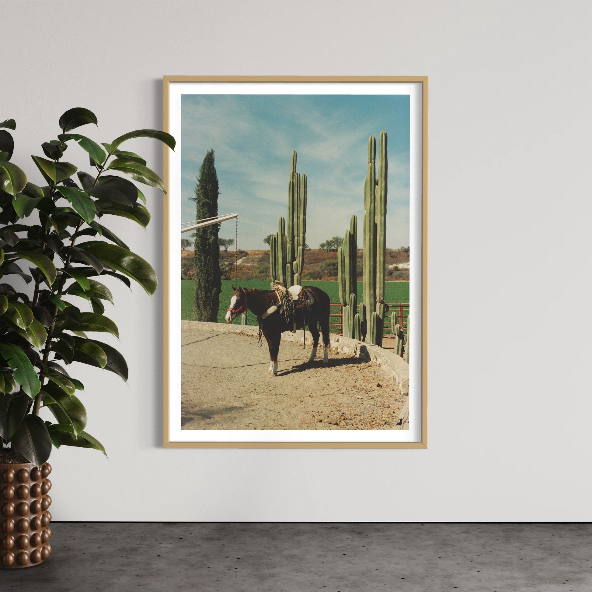 Rancho El Soyate