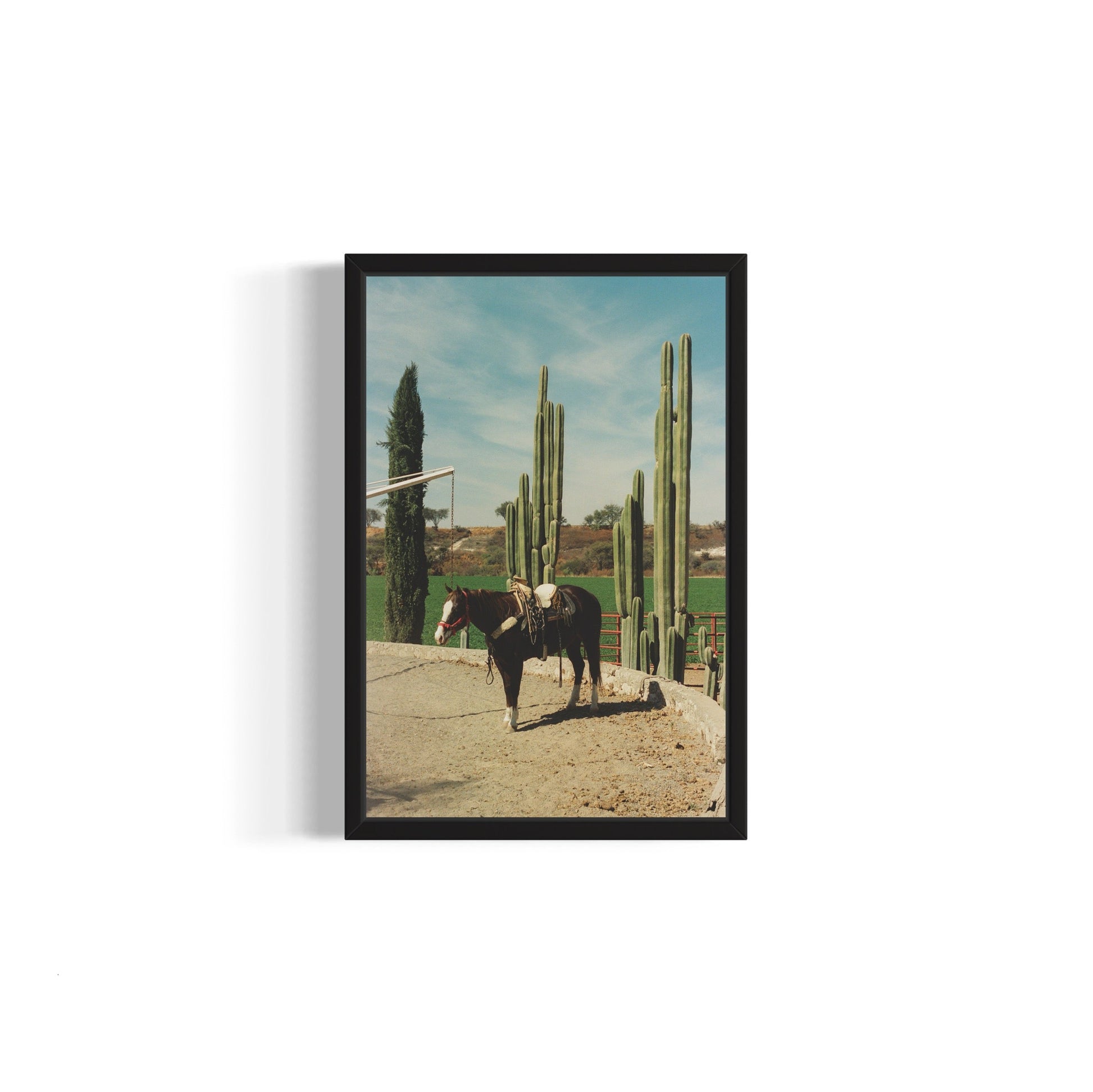 Rancho El Soyate