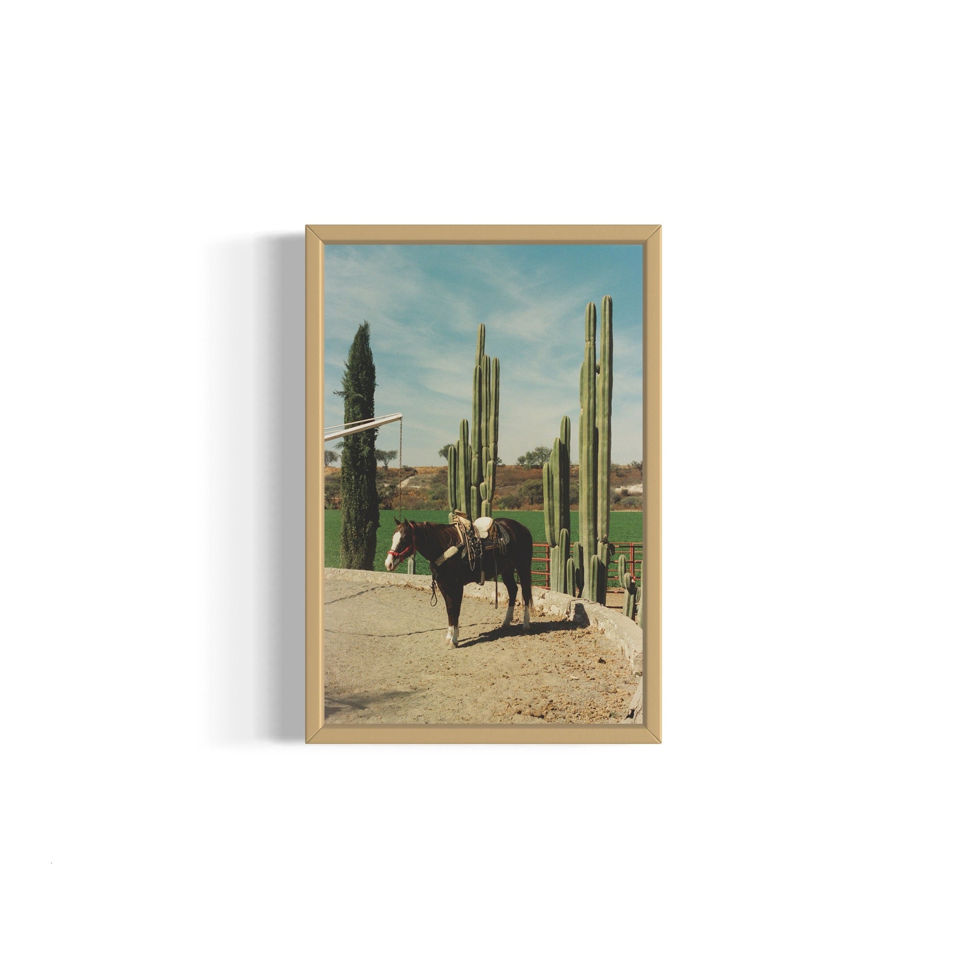 Rancho El Soyate