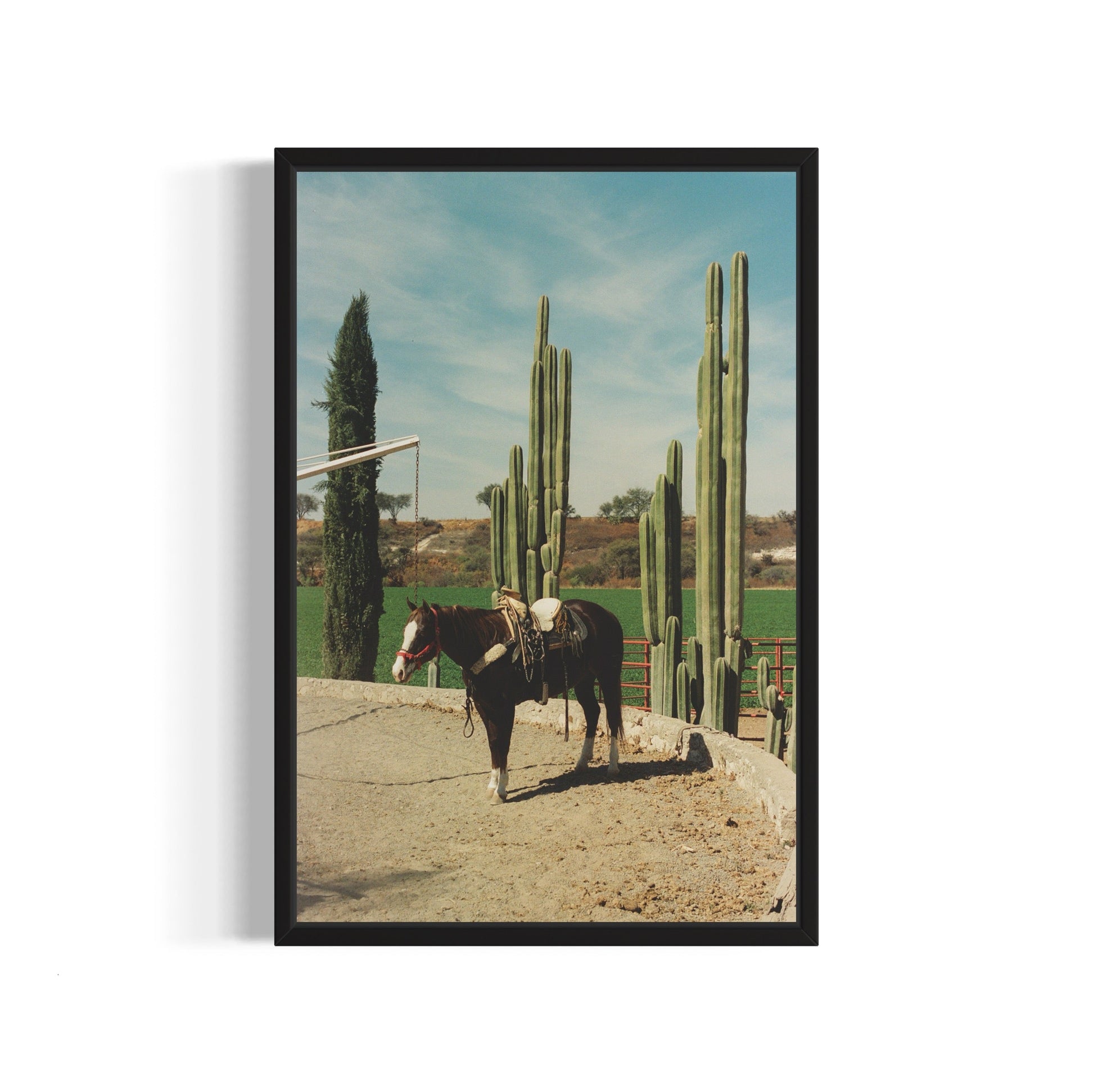 Rancho El Soyate