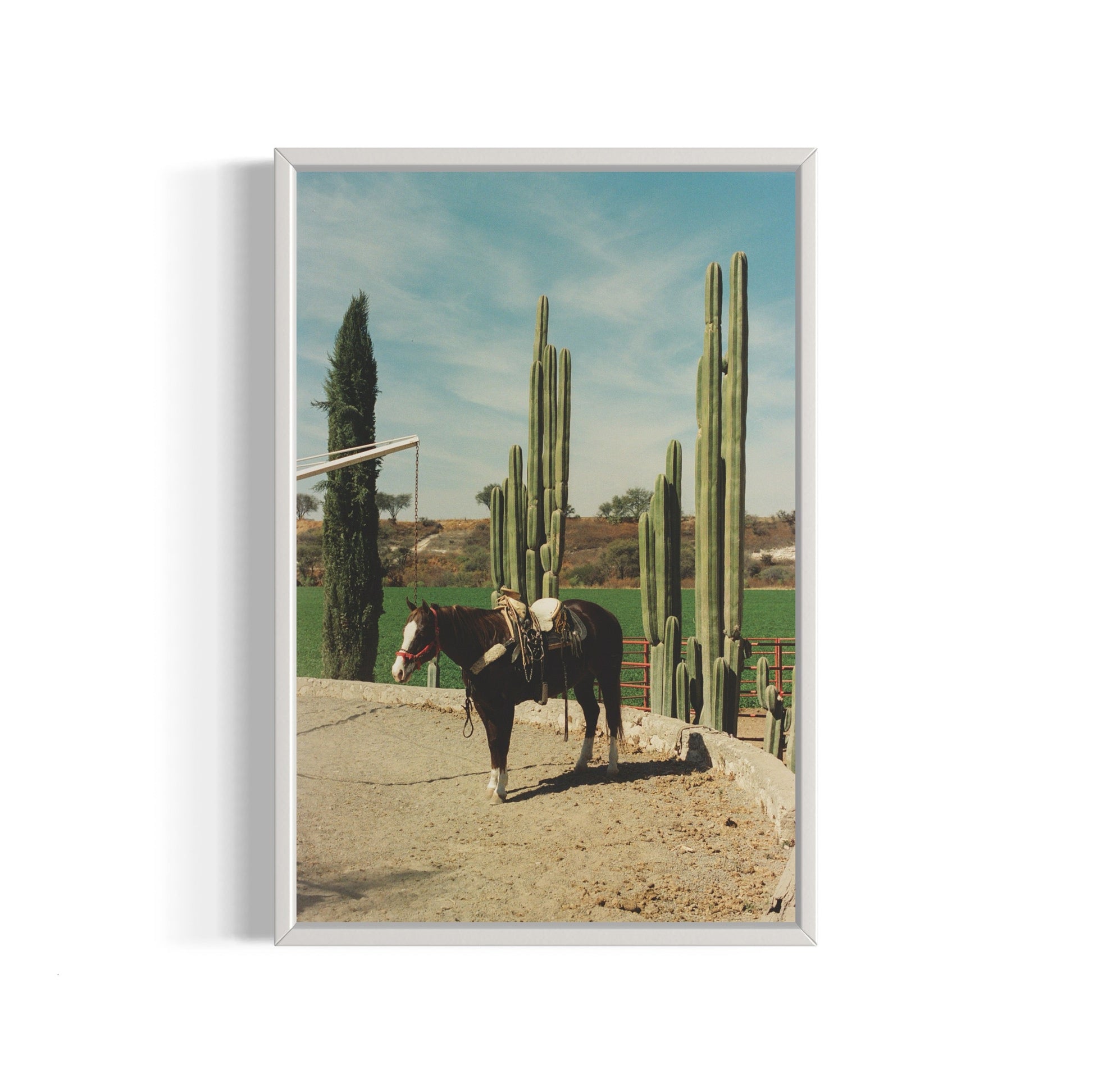 Rancho El Soyate