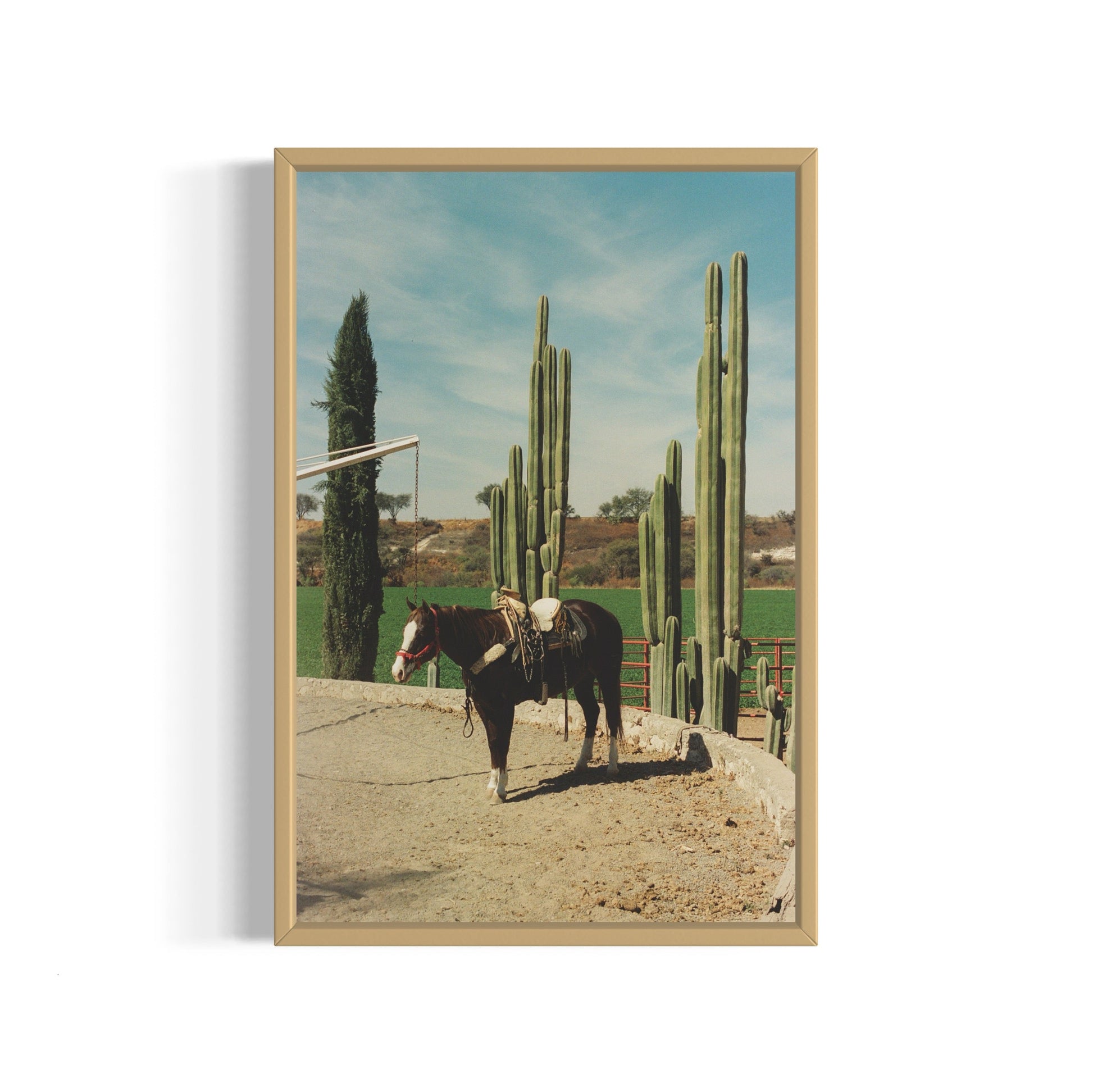 Rancho El Soyate