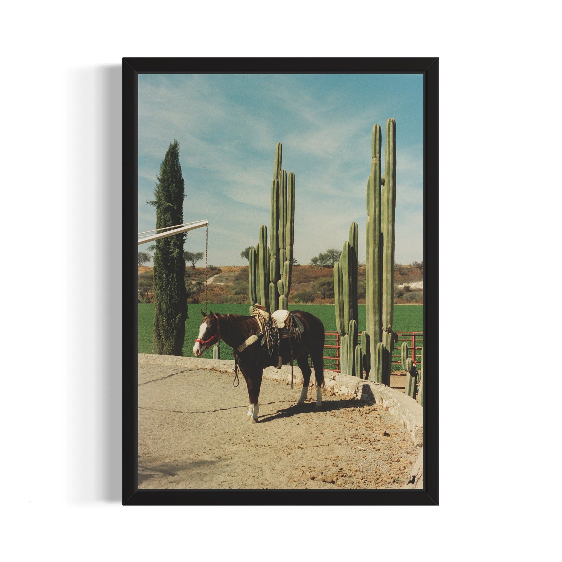 Rancho El Soyate