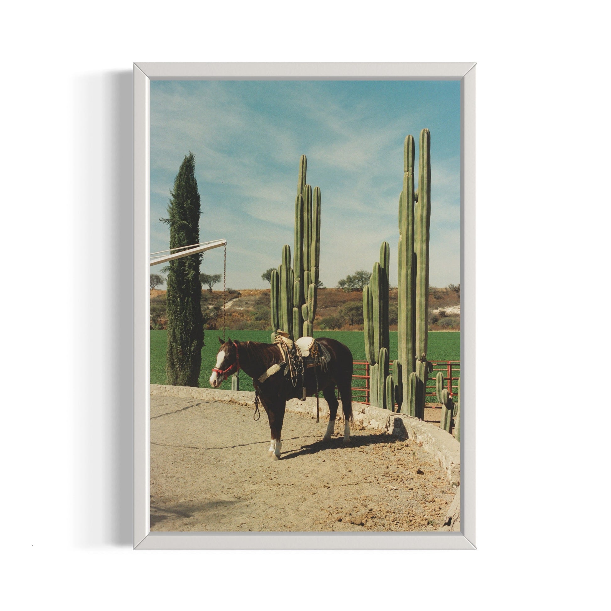 Rancho El Soyate