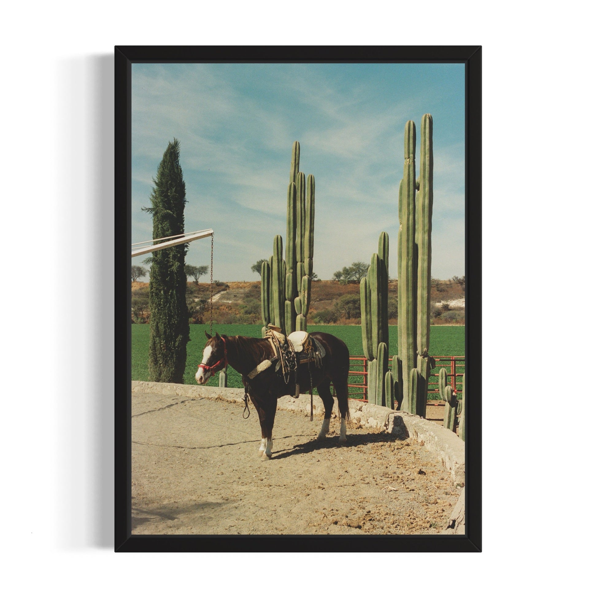 Rancho El Soyate