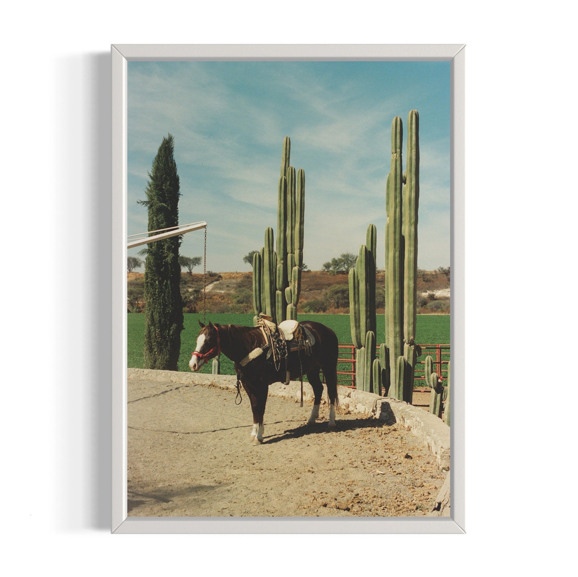 Rancho El Soyate