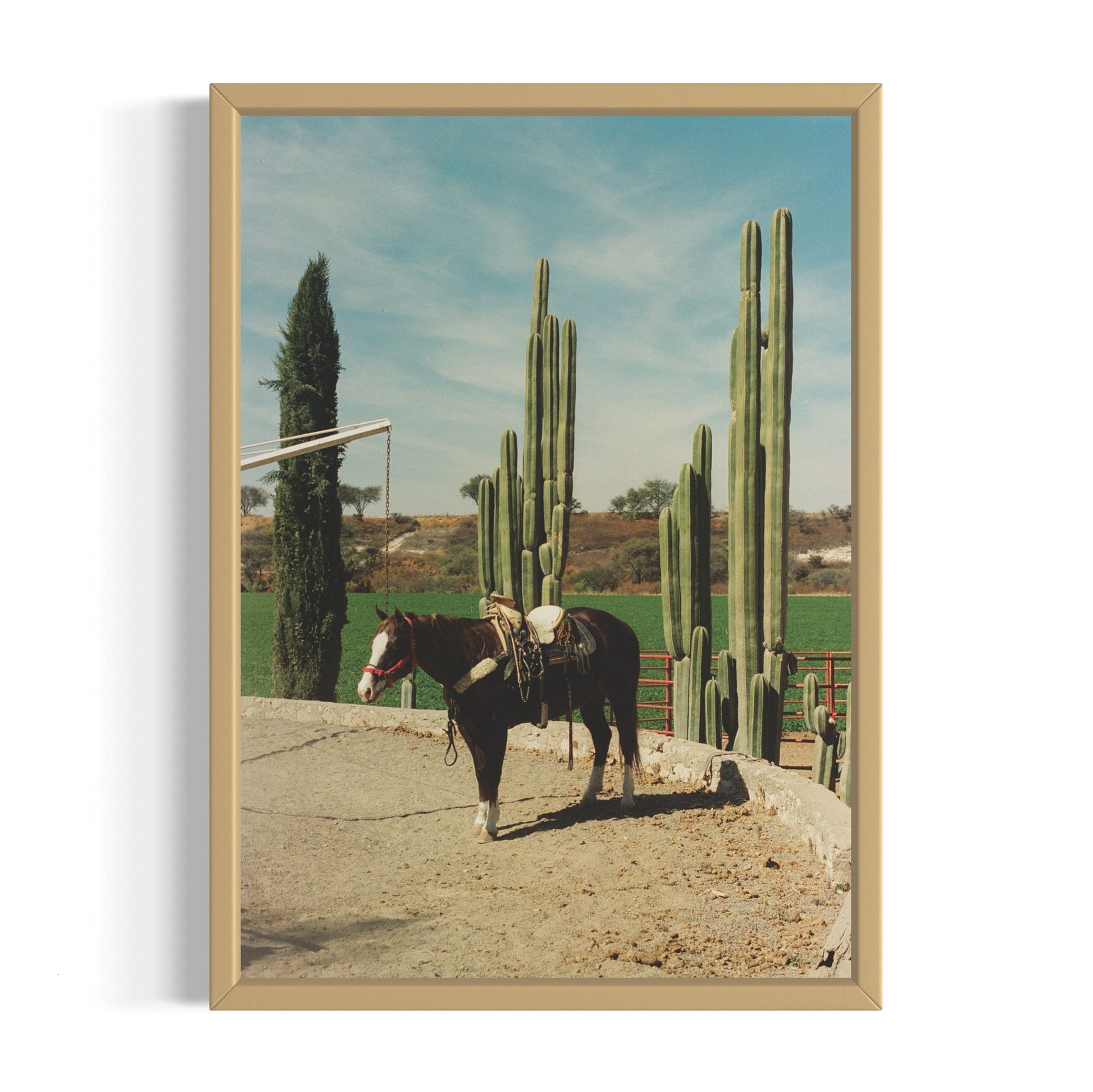 Rancho El Soyate