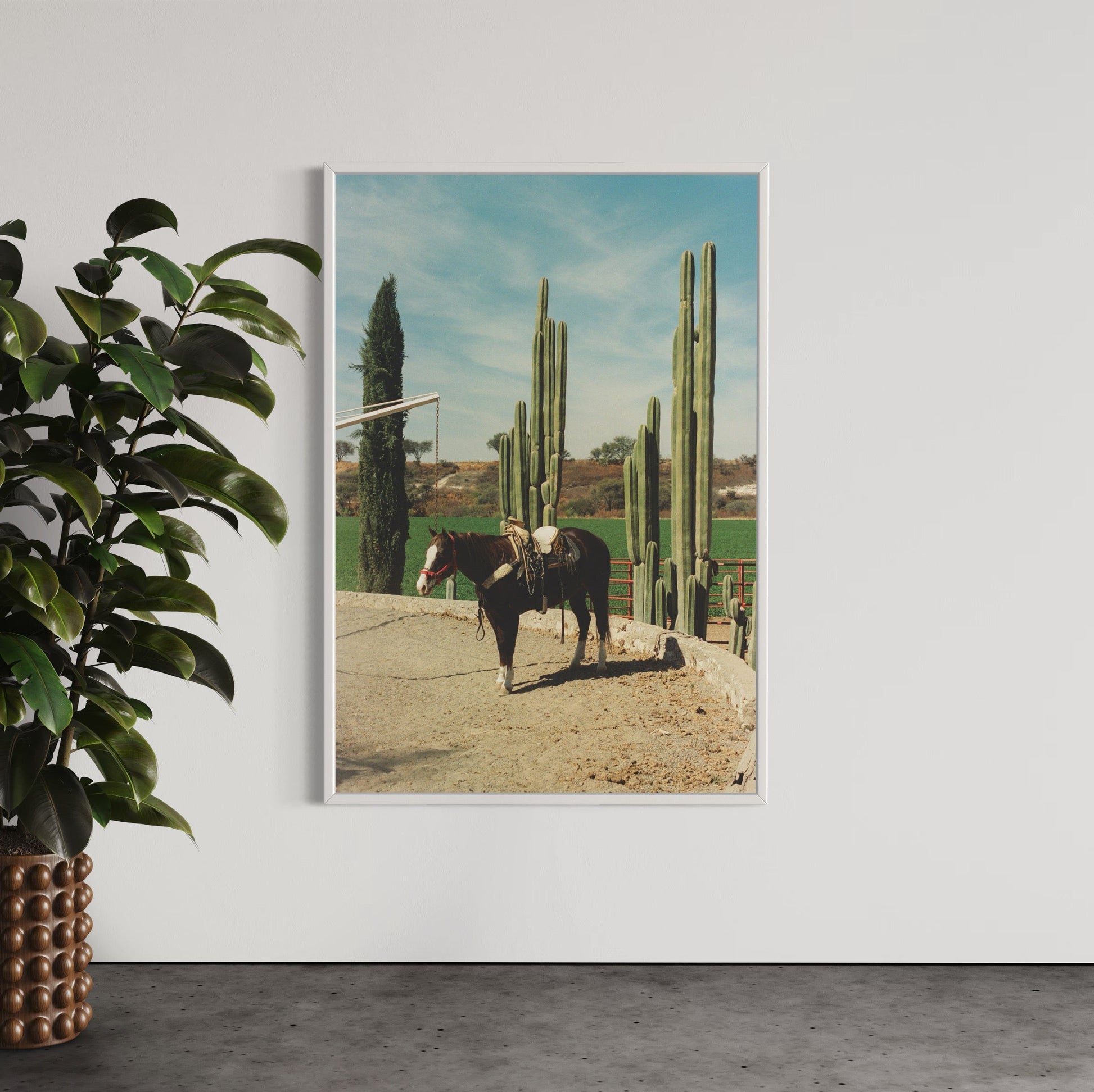 Rancho El Soyate