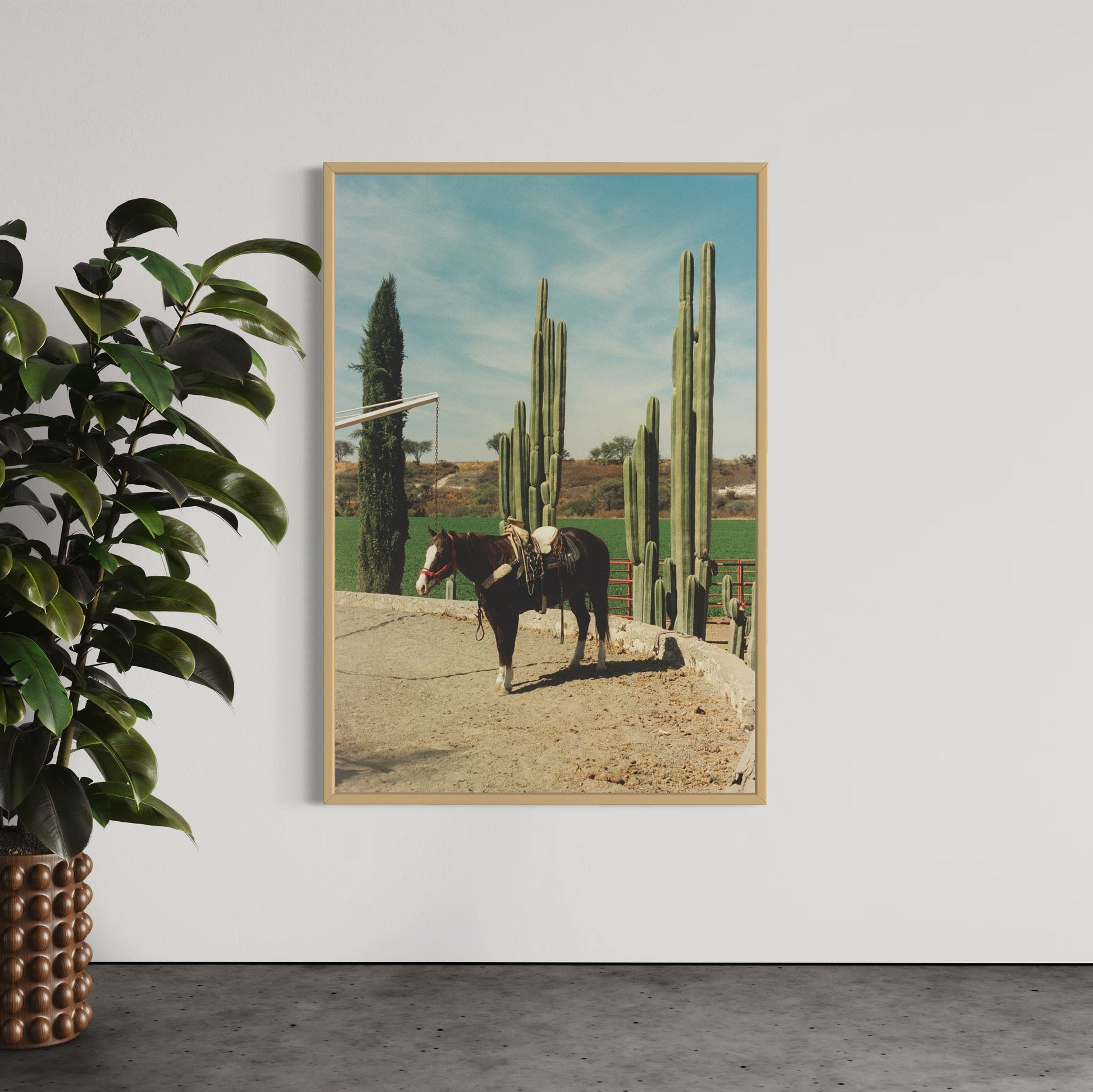 Rancho El Soyate