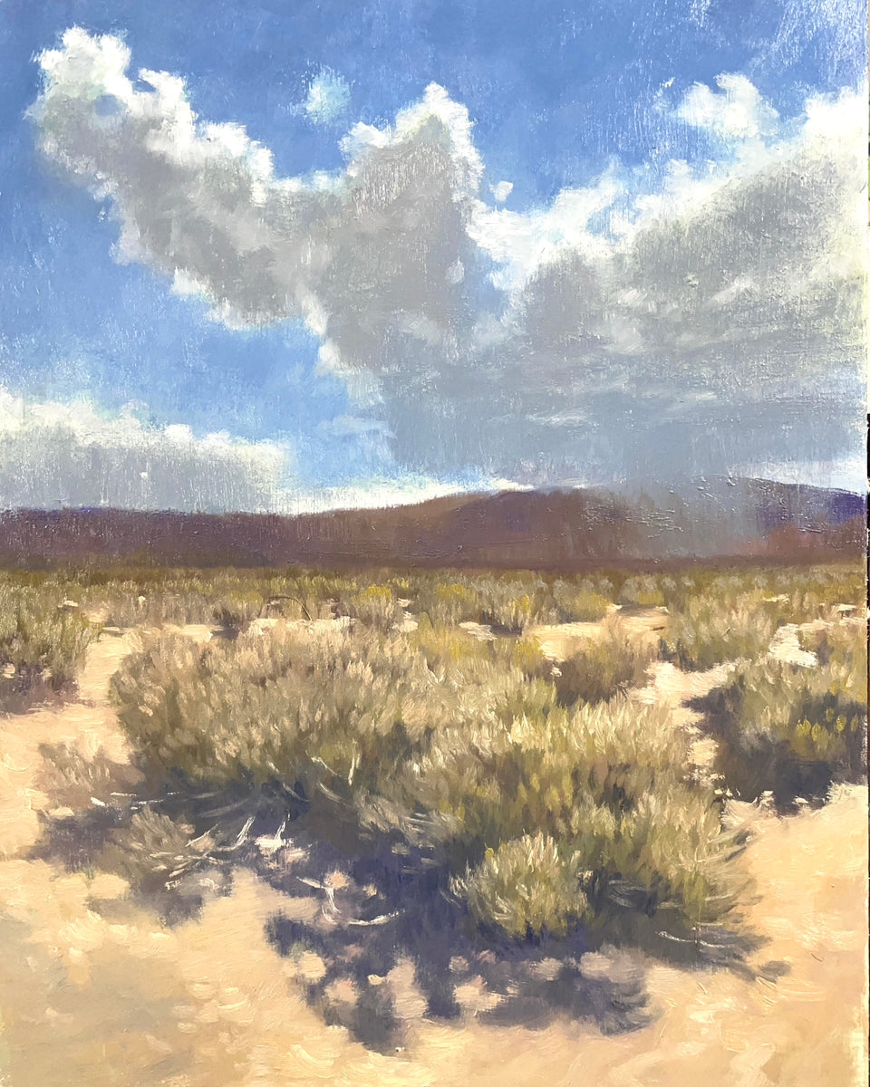 "Johnson Valley Showers"