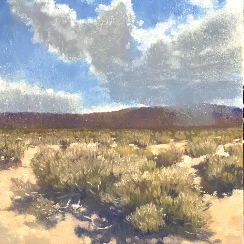 "Johnson Valley Showers"